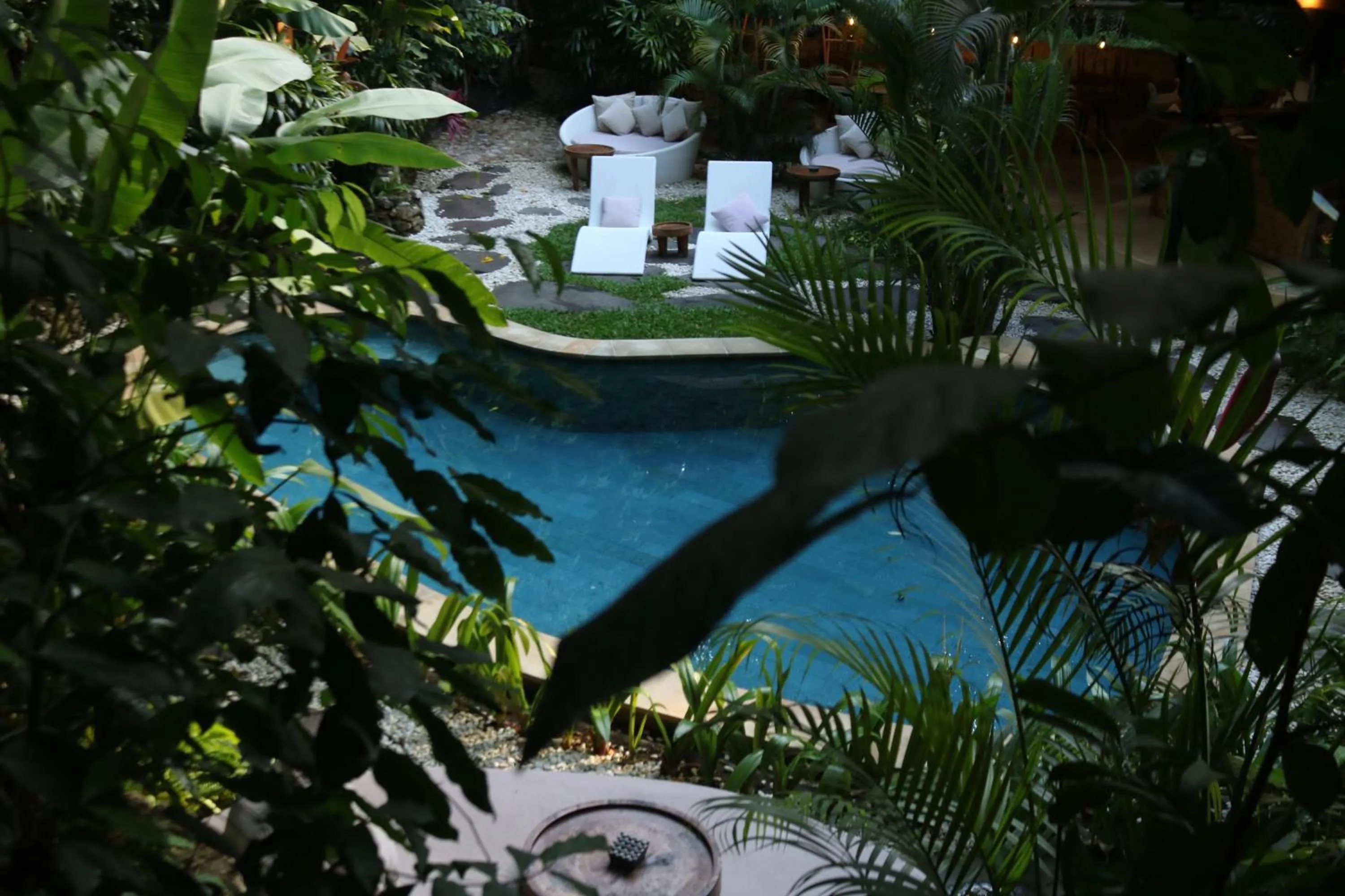 Garden in Roots Tree House