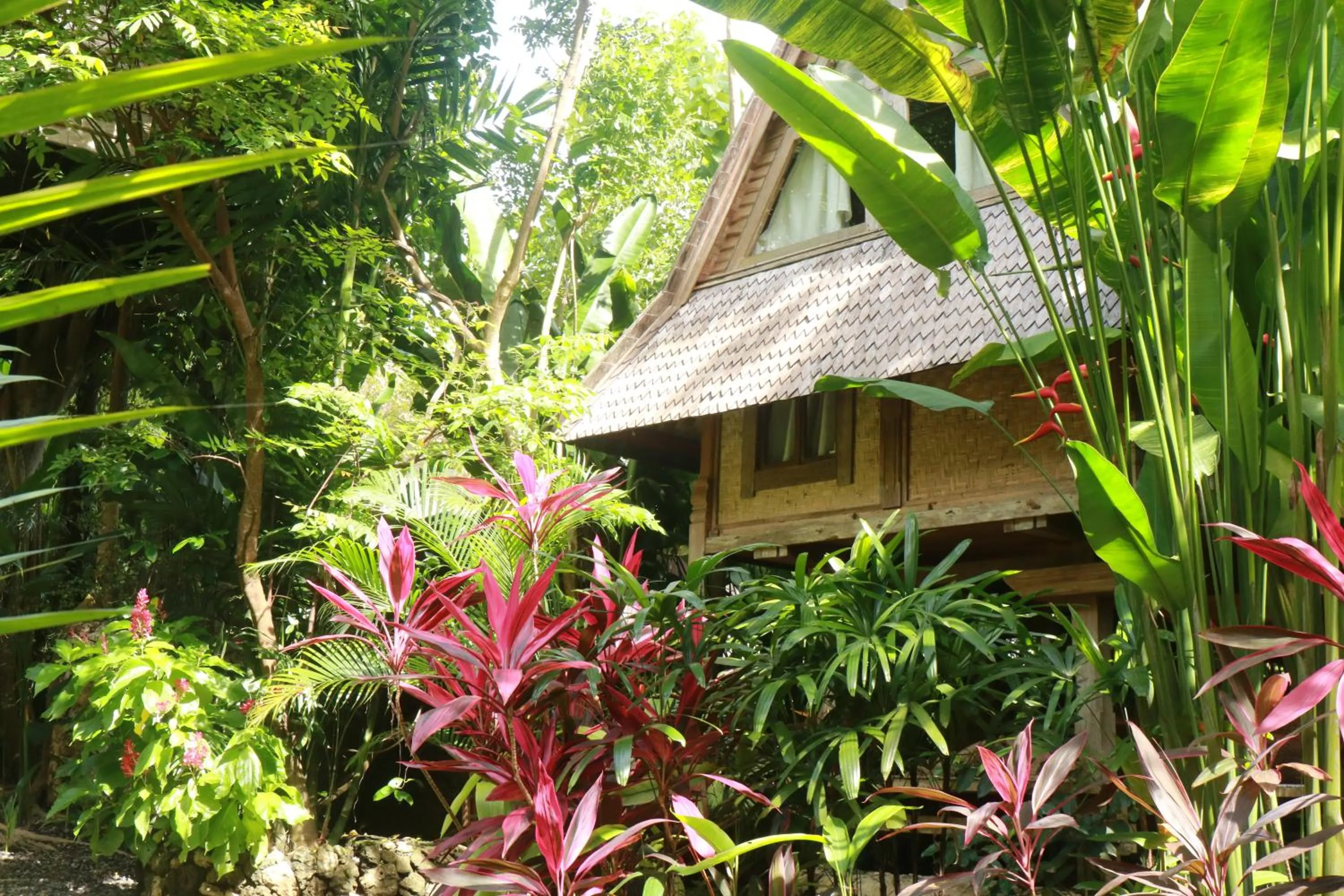 Property building in Roots Tree House