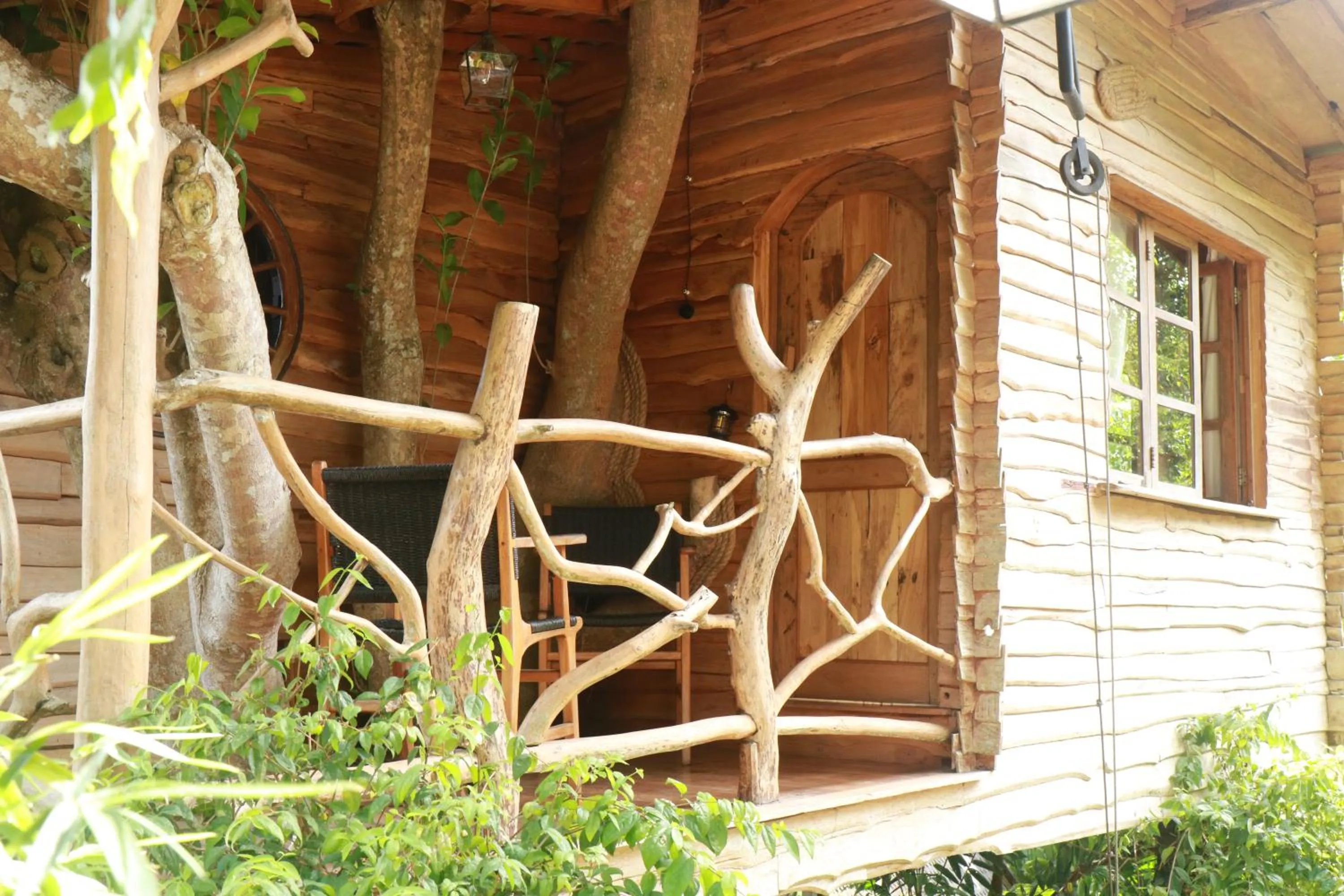 Garden in Roots Tree House