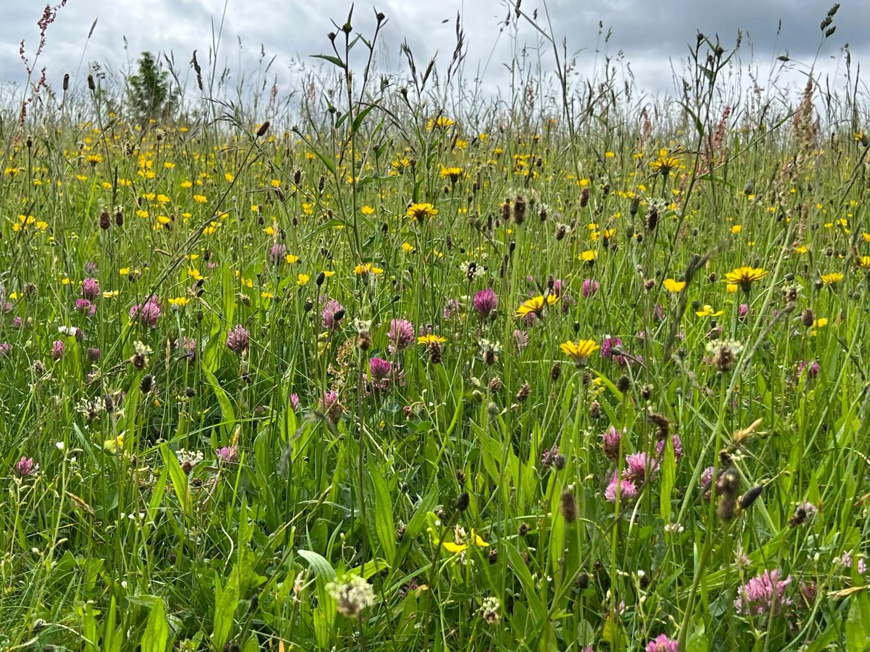 Staff in Berghotel Lenneplätze Winterberg