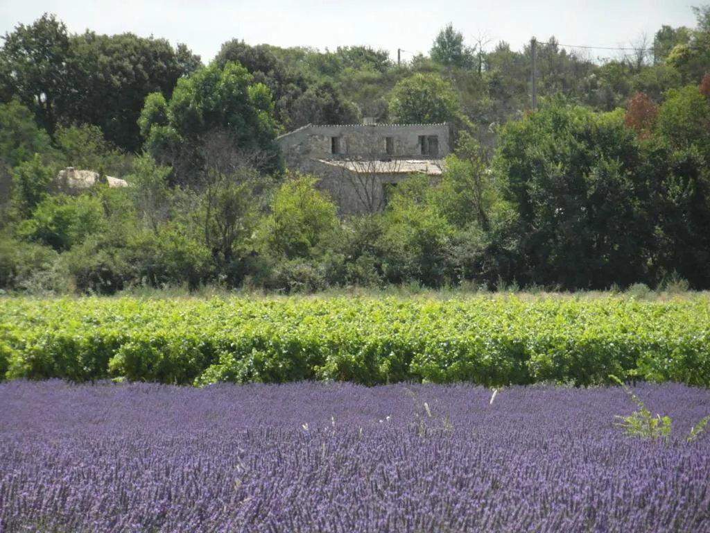 " Chez NADOU " 2 Chambres d' Hôtes dans maison indépendante à 4 Kms d'Uzès
