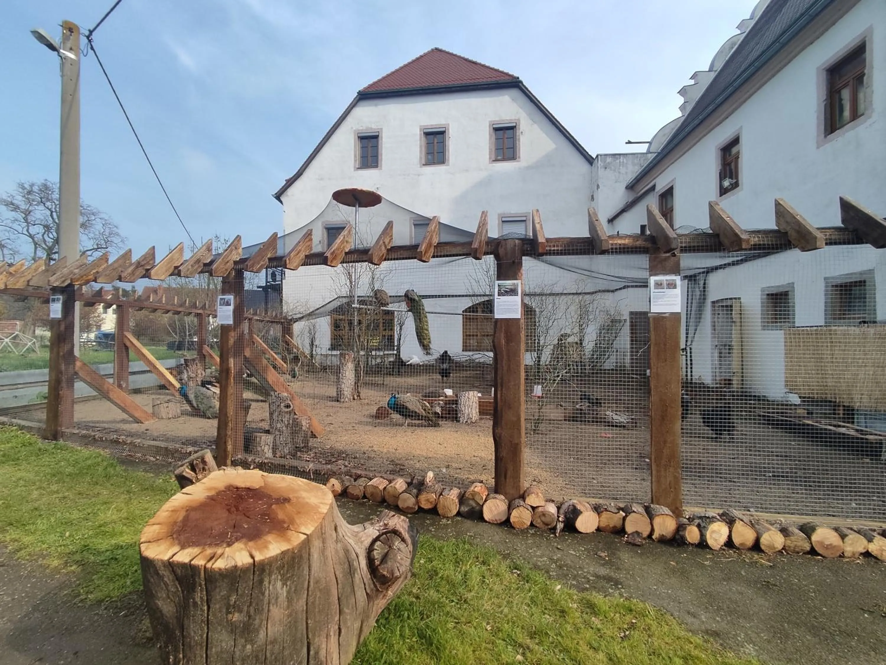 Animals in Rittergut Dröschkau