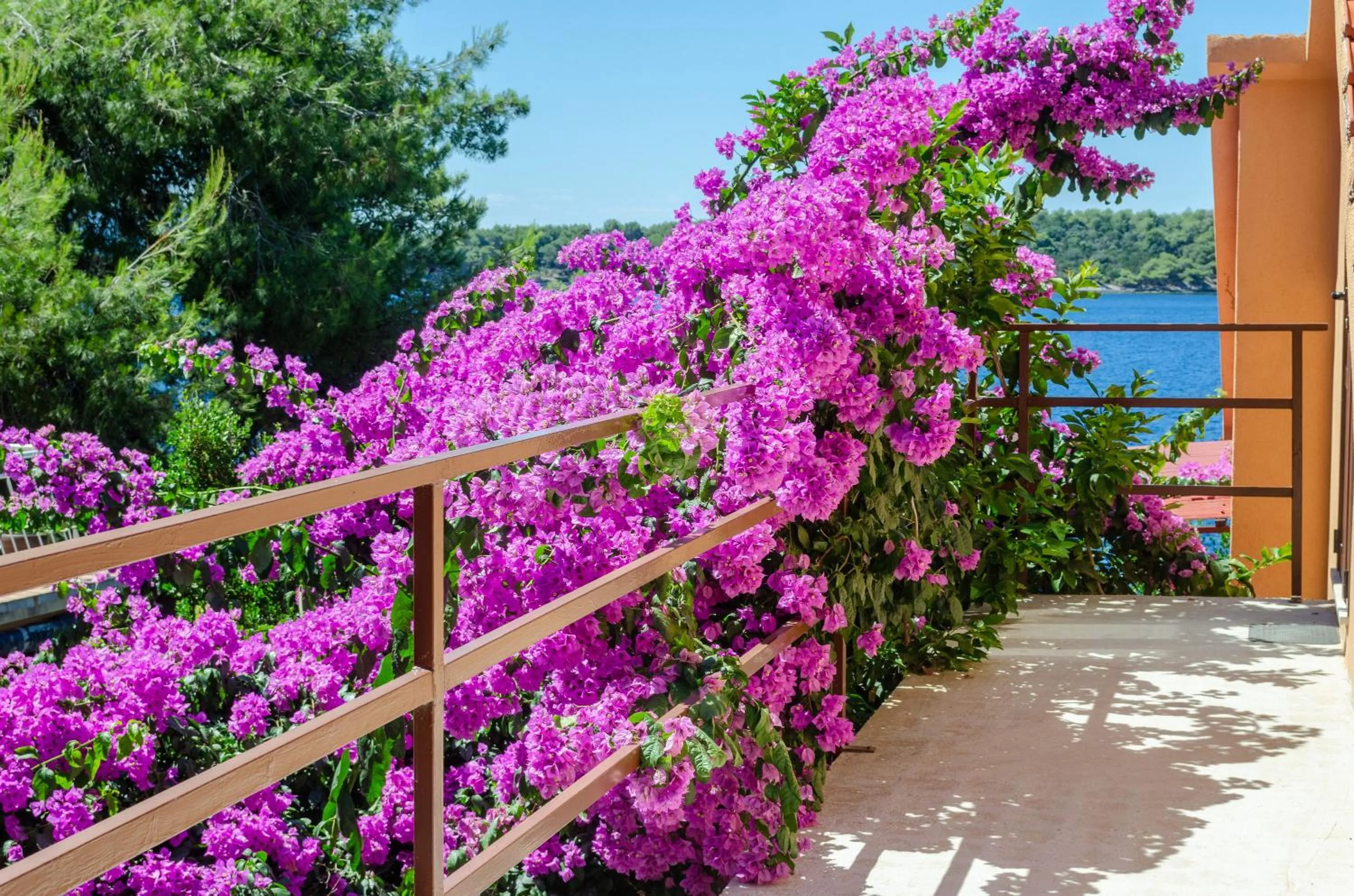 Property building in Apartments Ljiljana