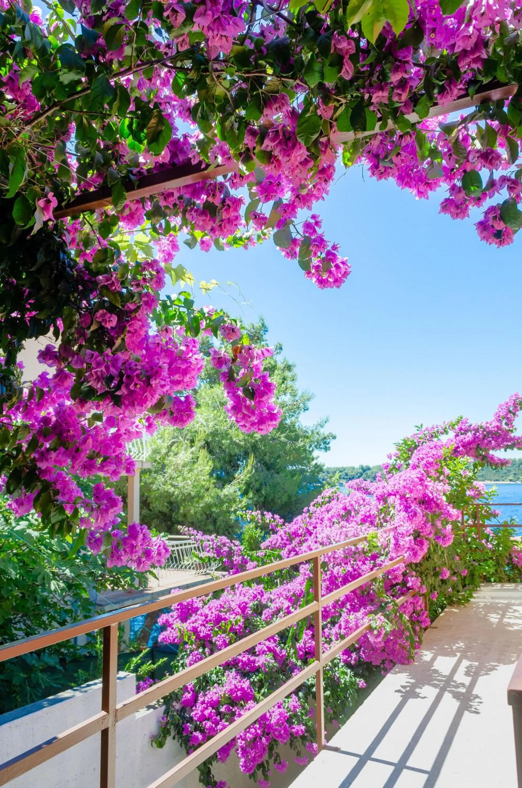 Property building in Apartments Ljiljana