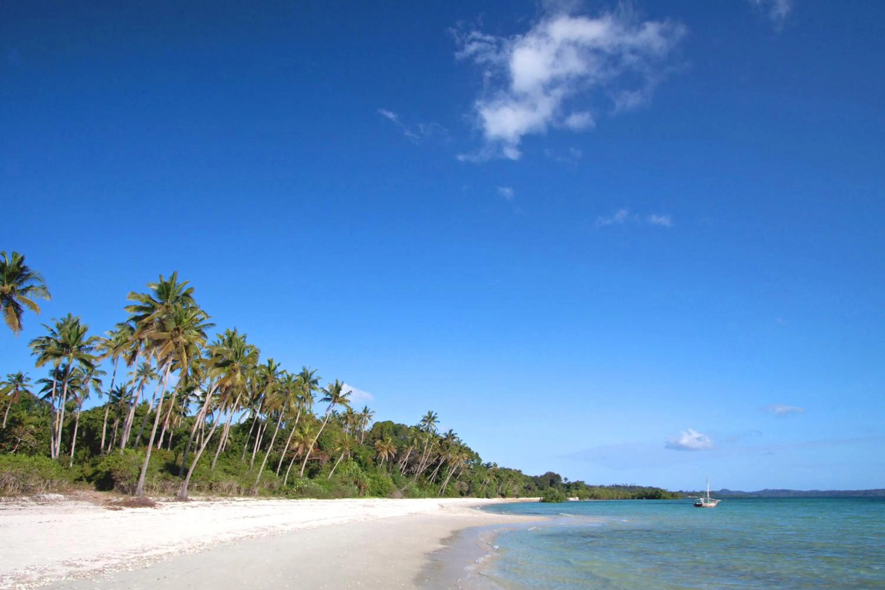 Spring in Fundu Lagoon