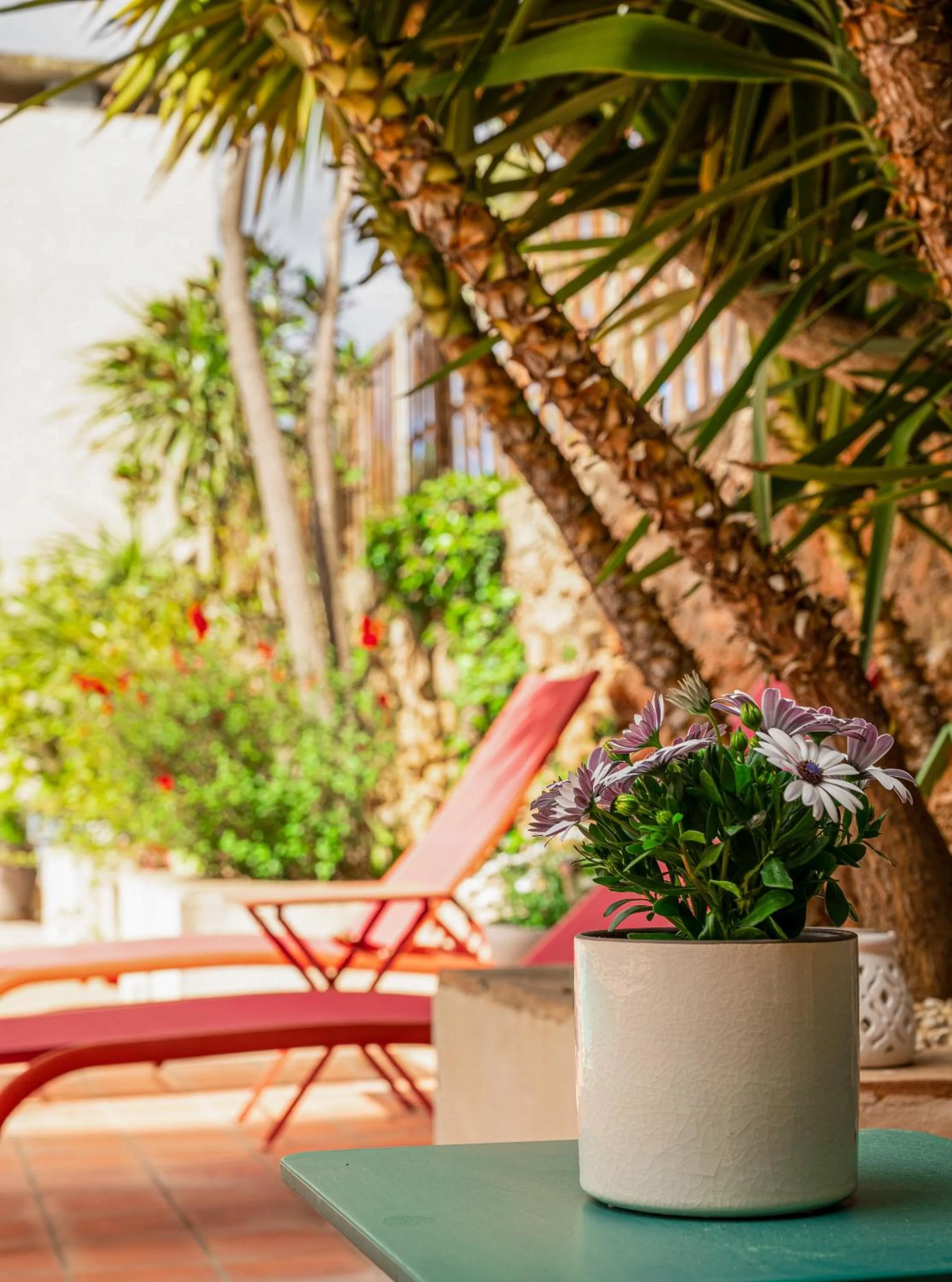 Garden in Maison Dix Chambres d'hôtes et Espace SPA Bien être