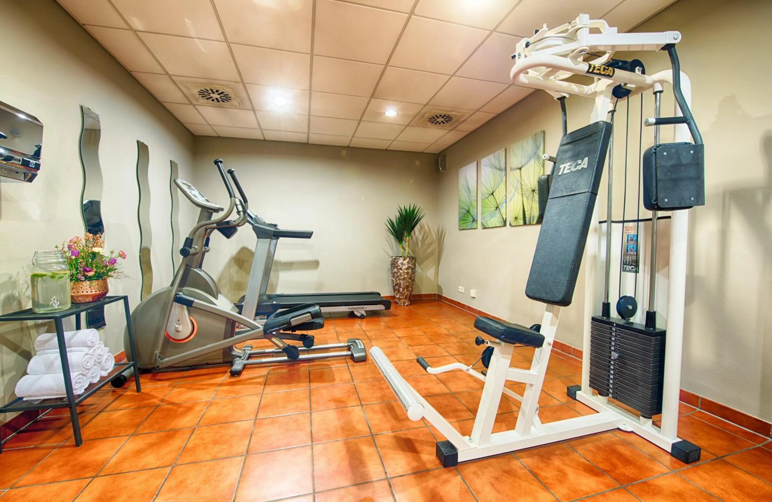 Fitness centre/facilities in Leonardo Hotel Mannheim-Ladenburg