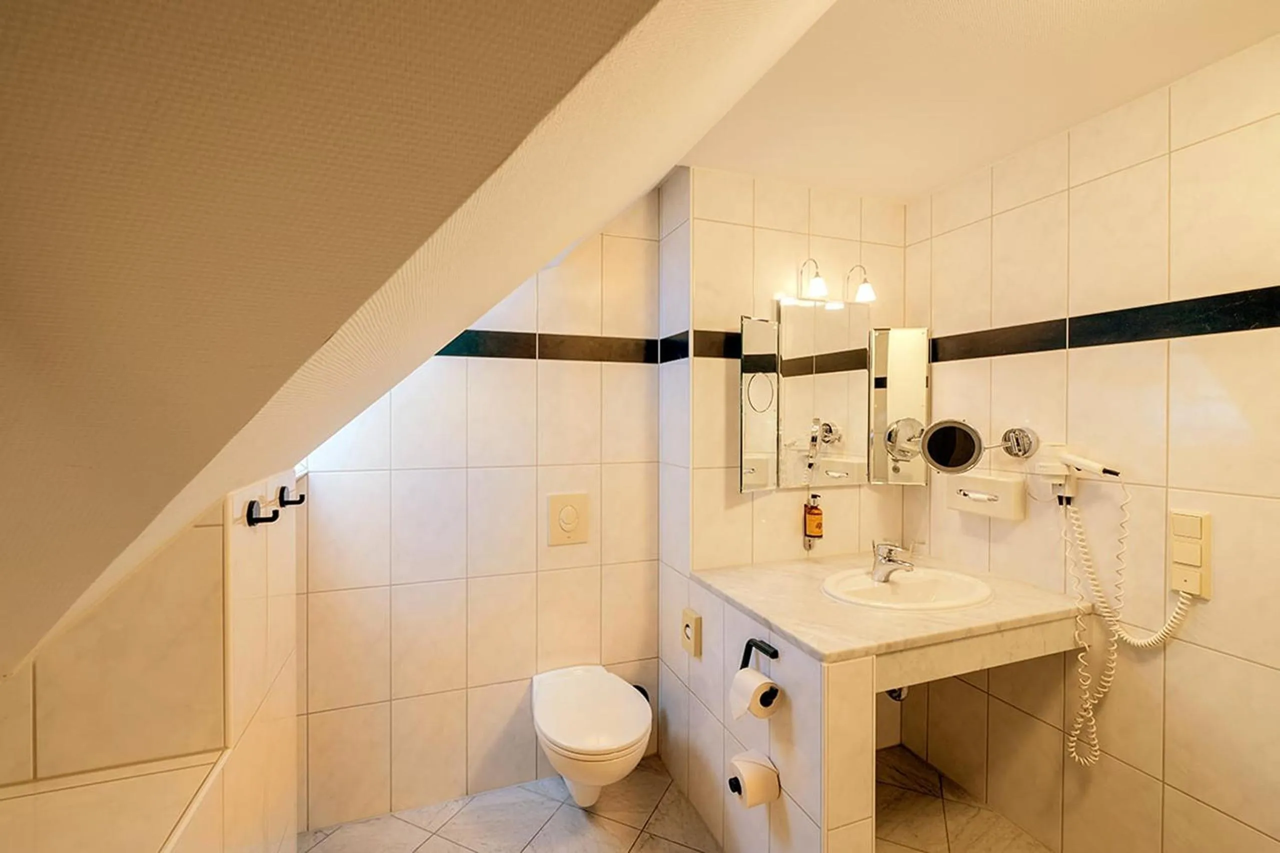 Toilet in Apparthotel Bad Schandau by STEIGER Hotels