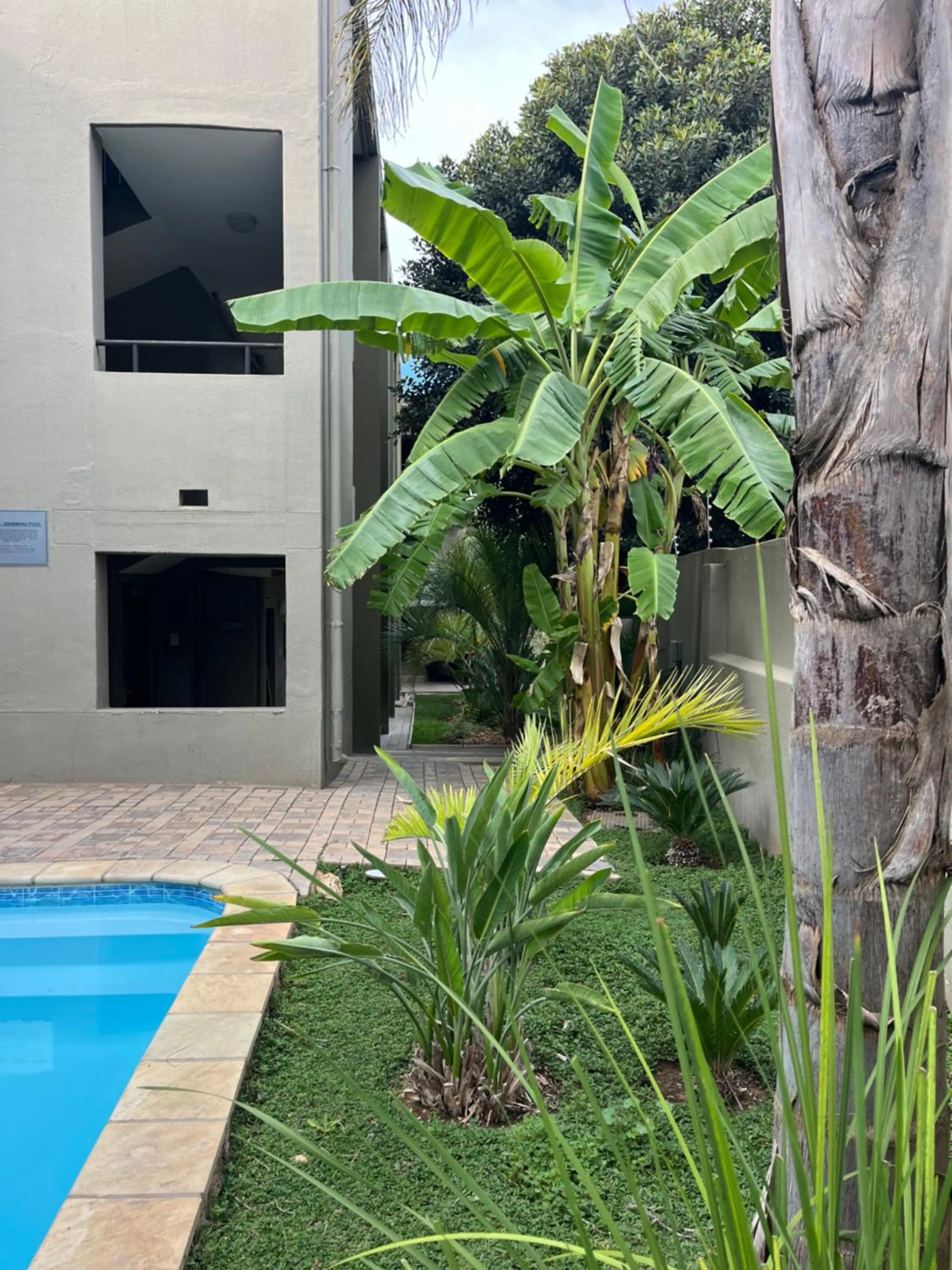 Swimming pool in Hillside Executive Accommodation