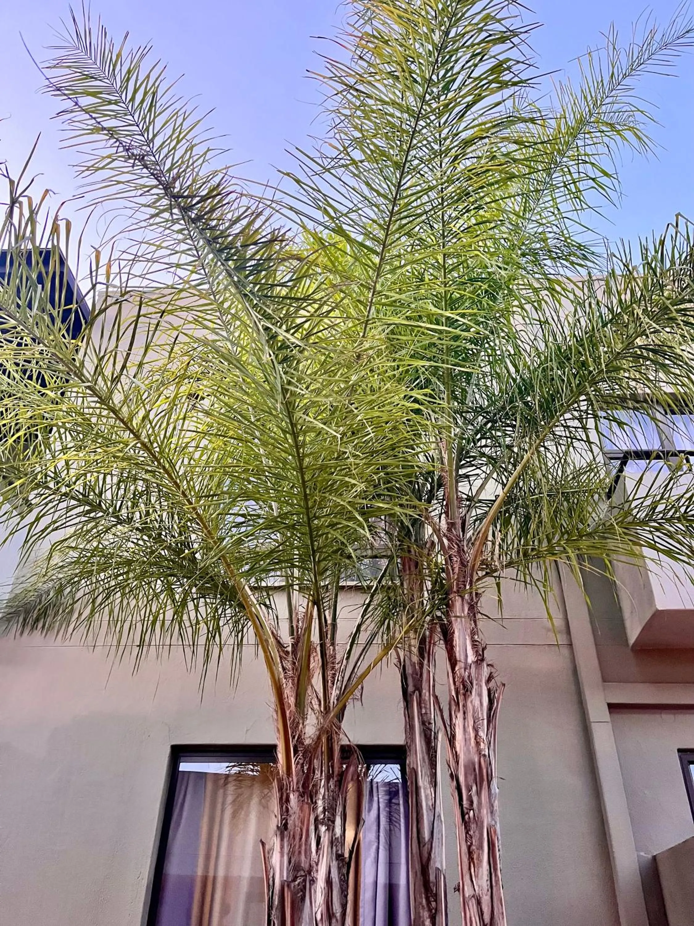 Spring in Hillside Executive Accommodation