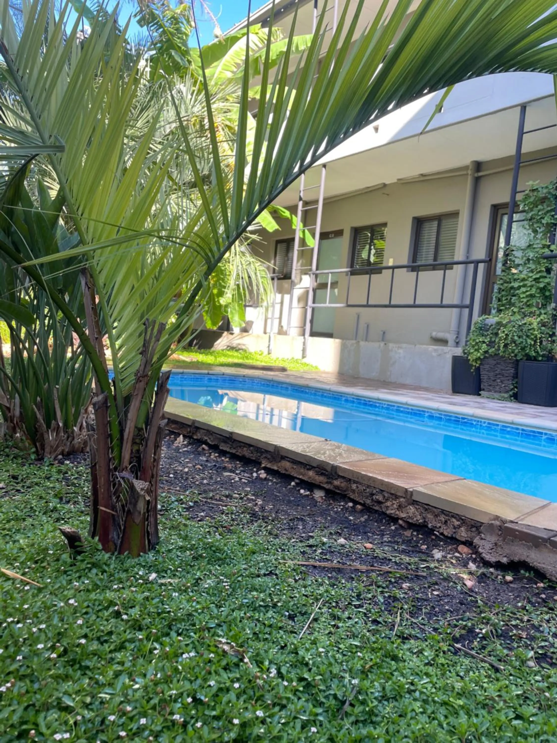 Garden view in Hillside Executive Accommodation