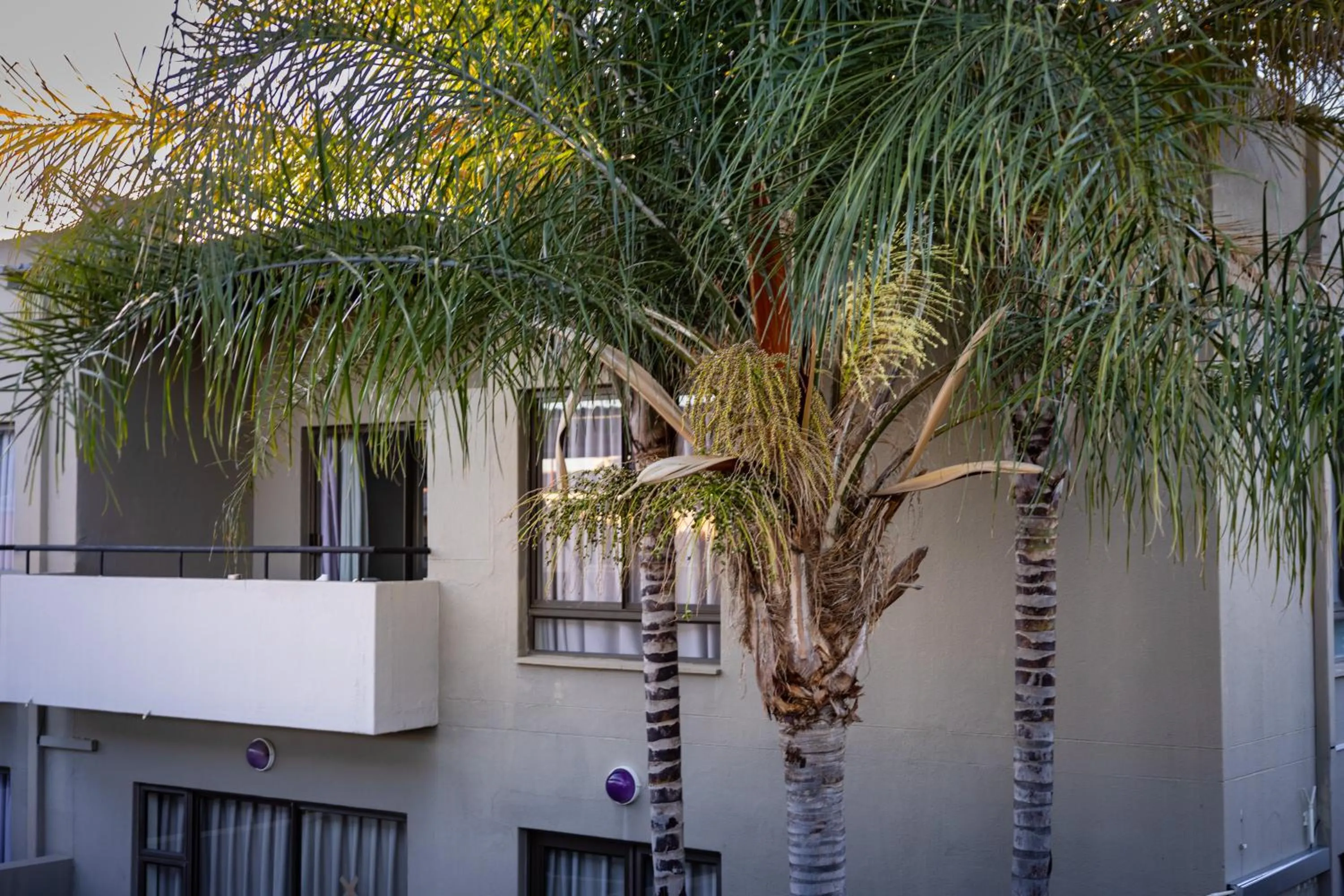 Balcony/Terrace in Hillside Accommodation