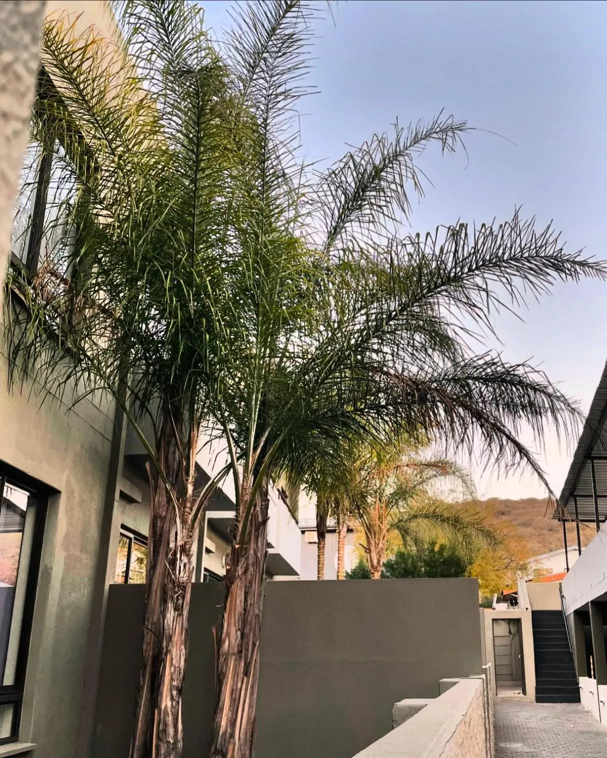 Day in Hillside Executive Accommodation