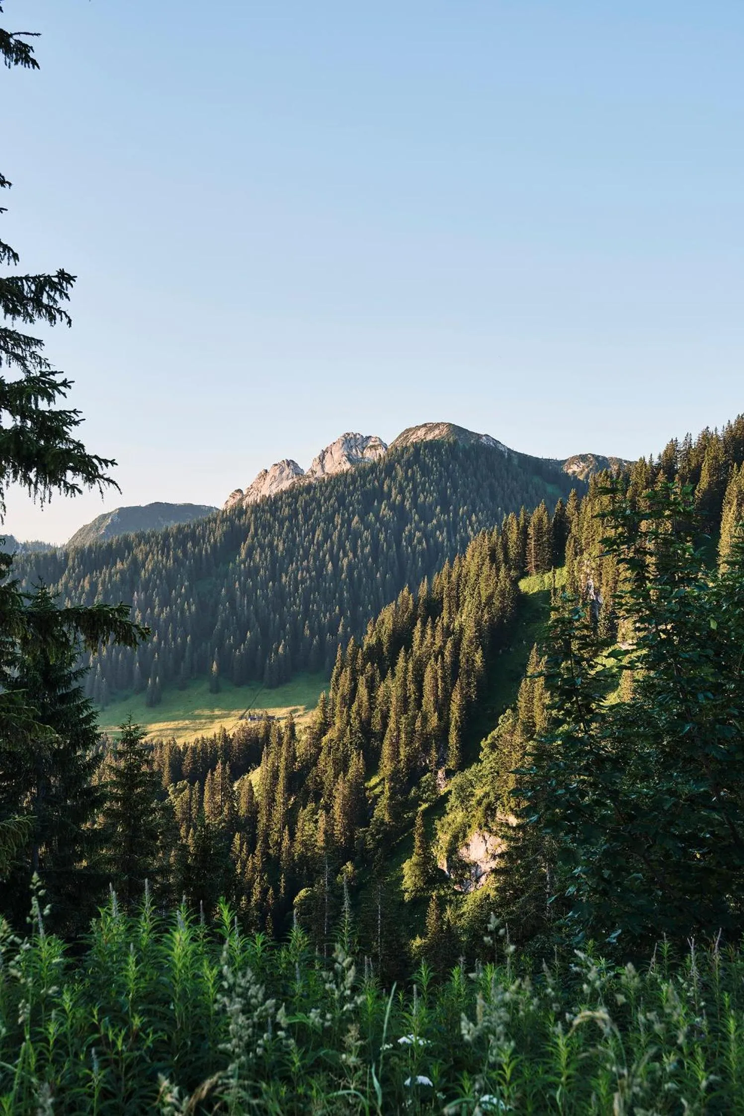 Activities in Spa & Resort Bachmair Weissach, LUXURY FAMILY RESORT