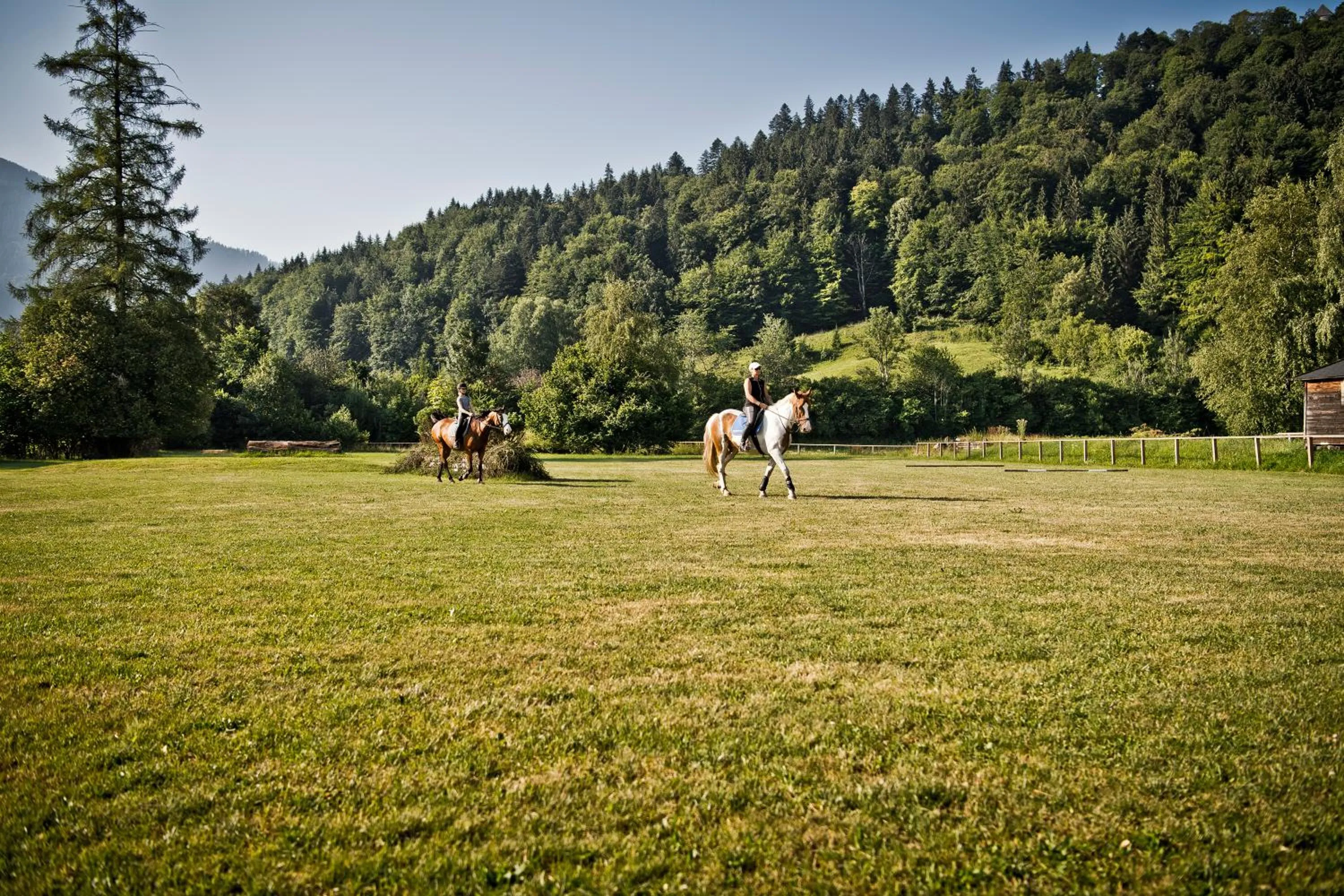 Horse-riding in Spa & Resort Bachmair Weissach, LUXURY FAMILY RESORT