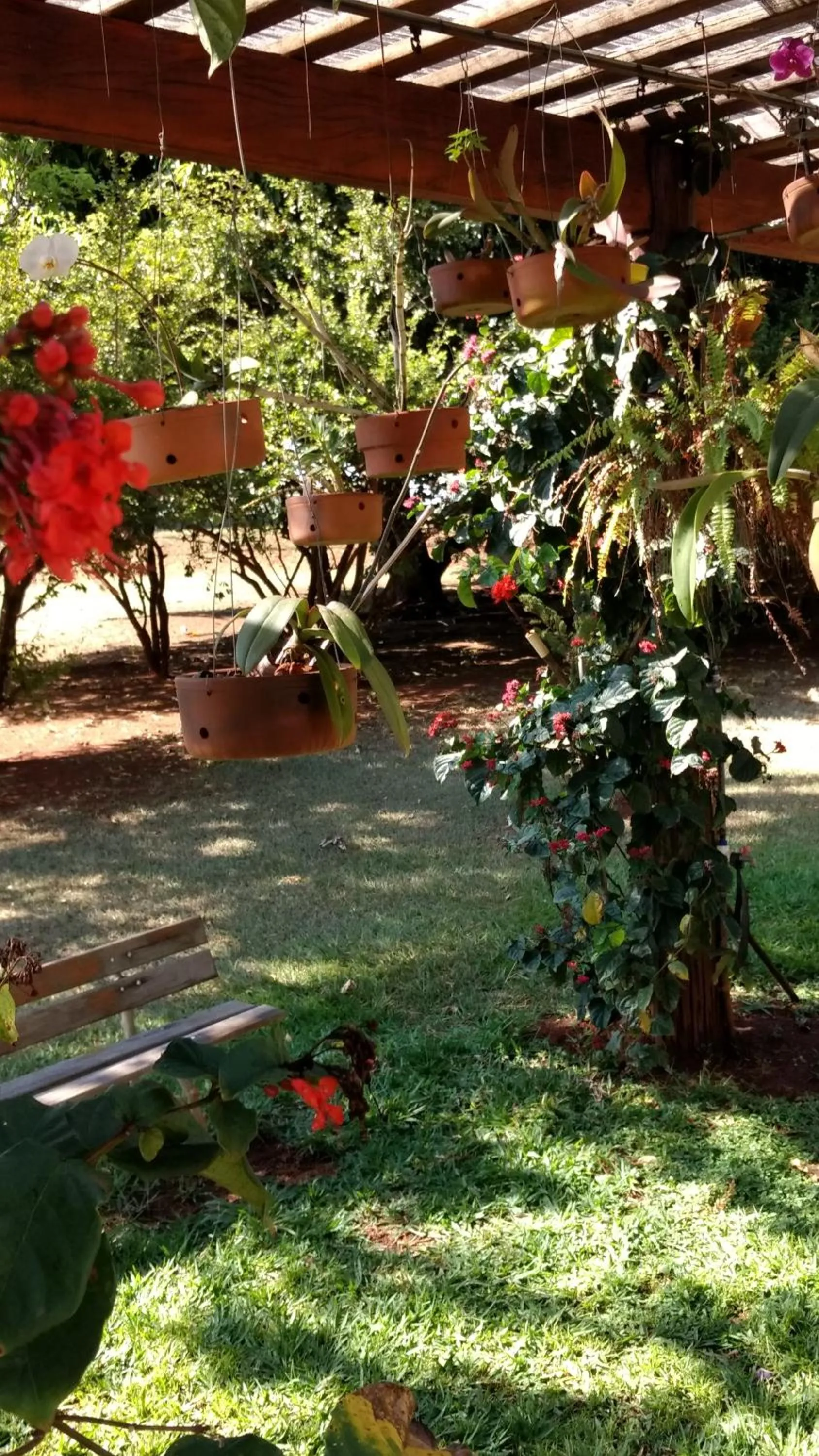 Garden in Hotel Recreio São Jorge