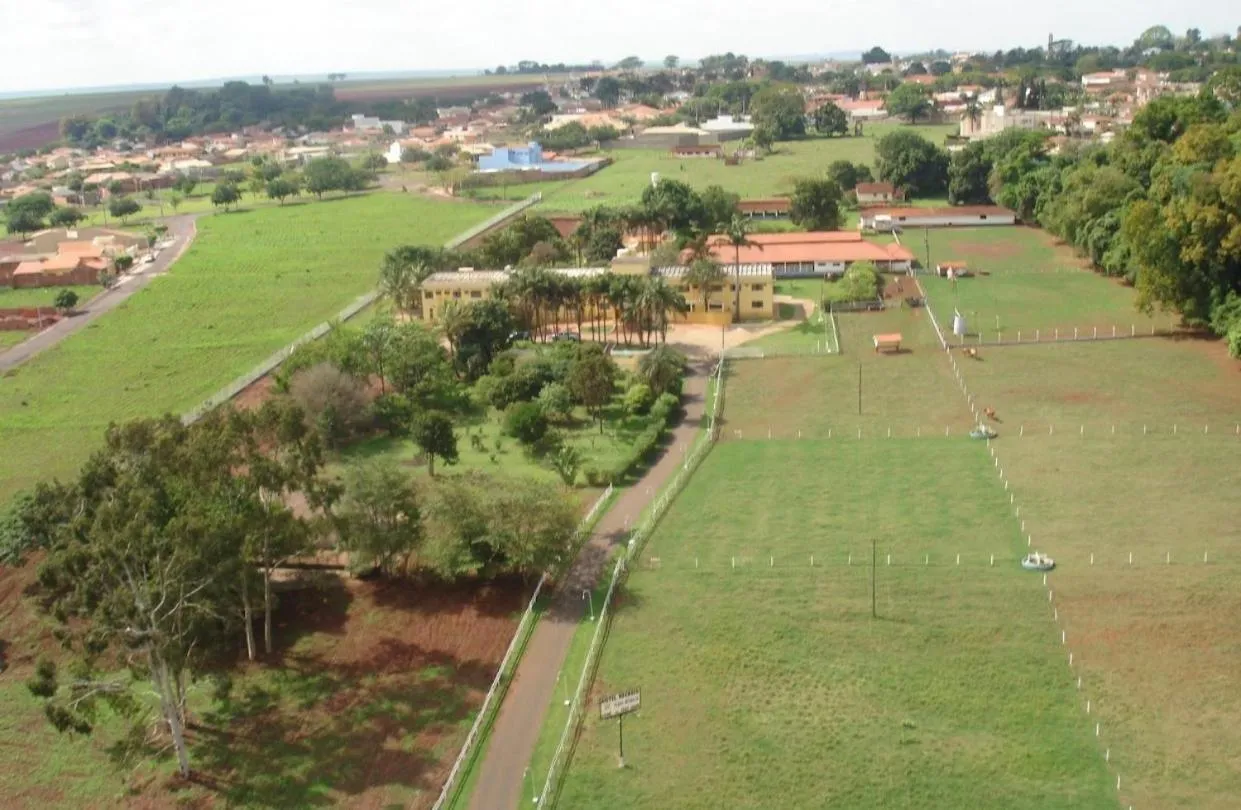 Bird's eye view in Hotel Recreio São Jorge