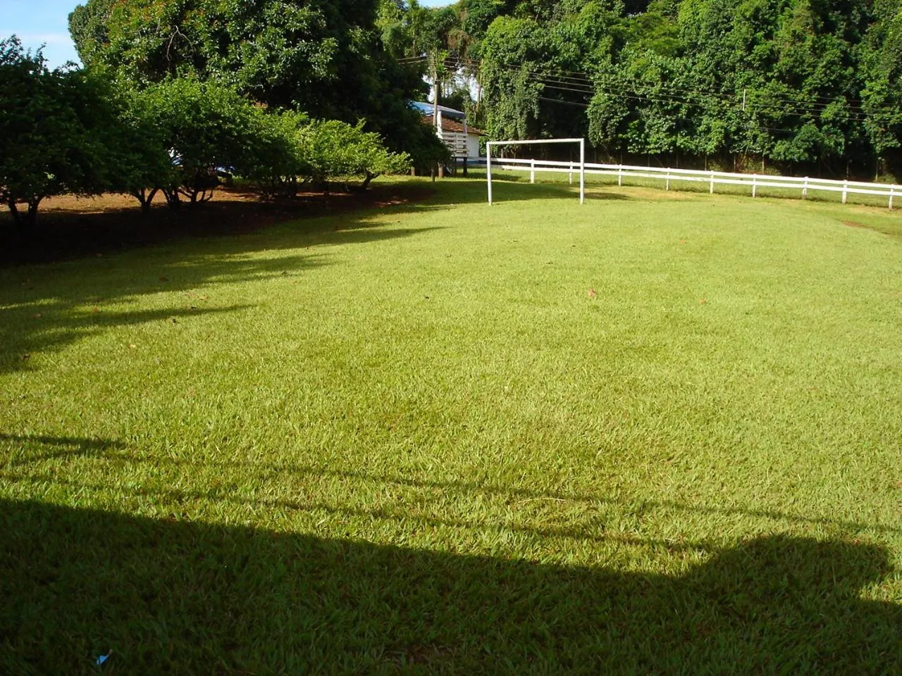 Activities in Hotel Recreio São Jorge