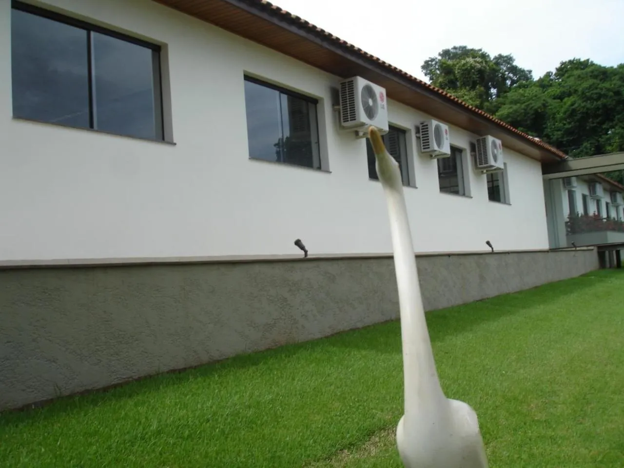 Hotel Recreio São Jorge