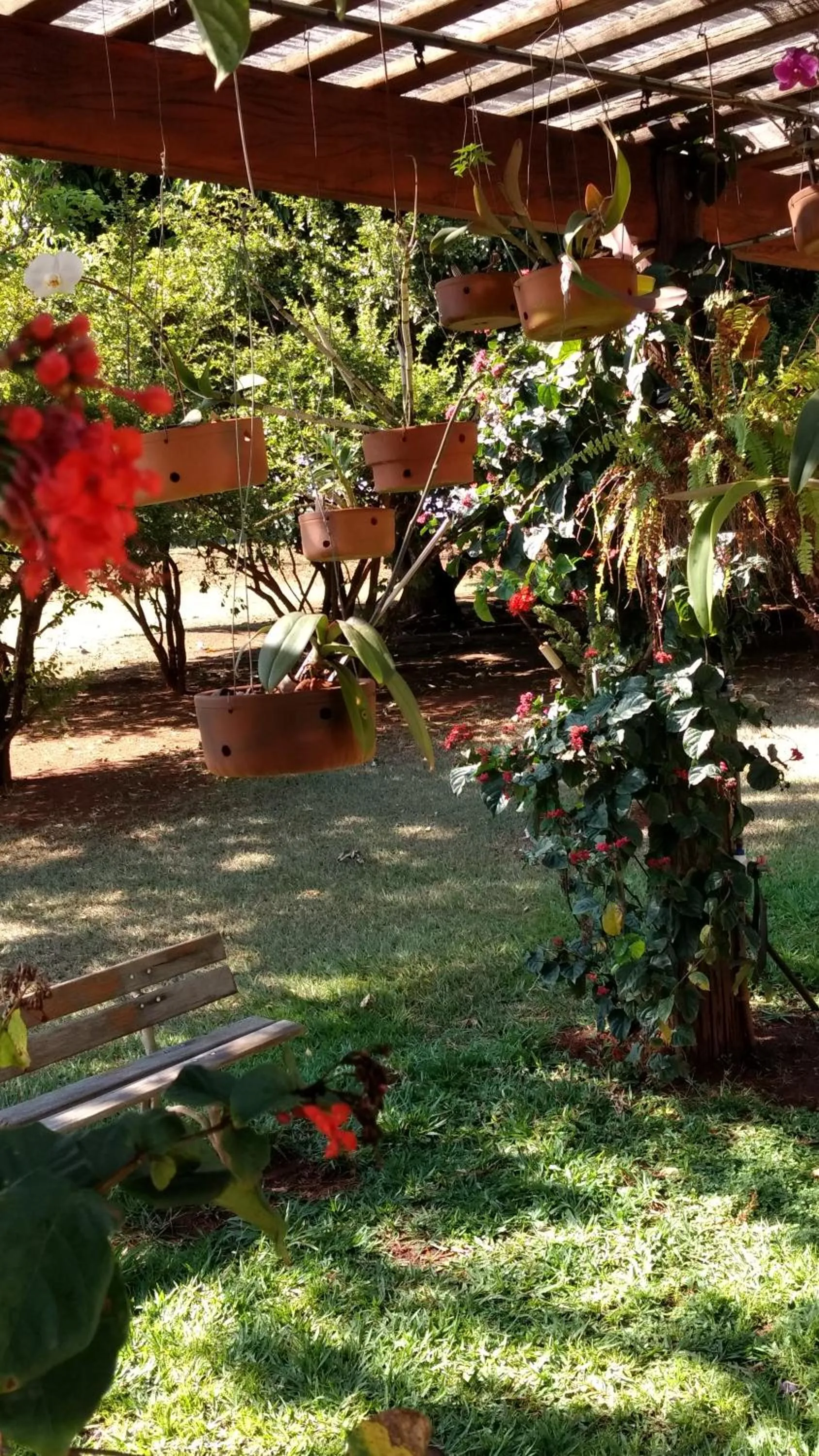 Hotel Recreio São Jorge