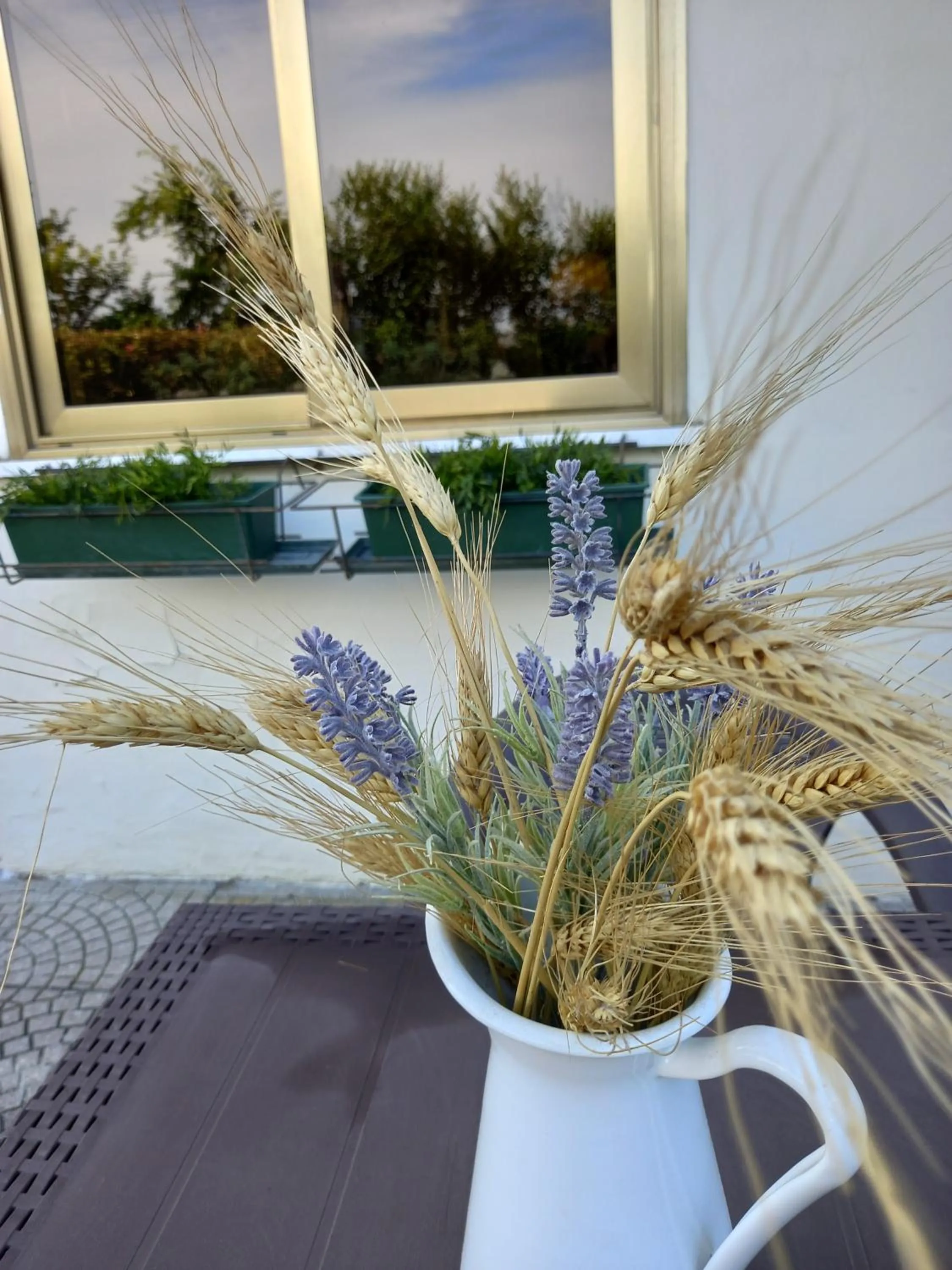 Property building in Alloggi Adamo Venice