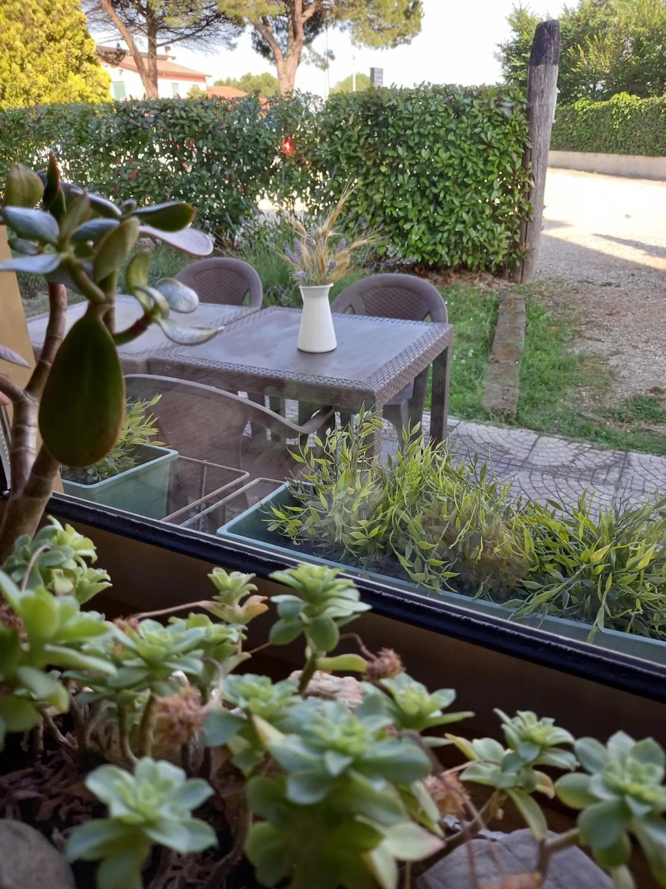 Garden in Alloggi Adamo Venice