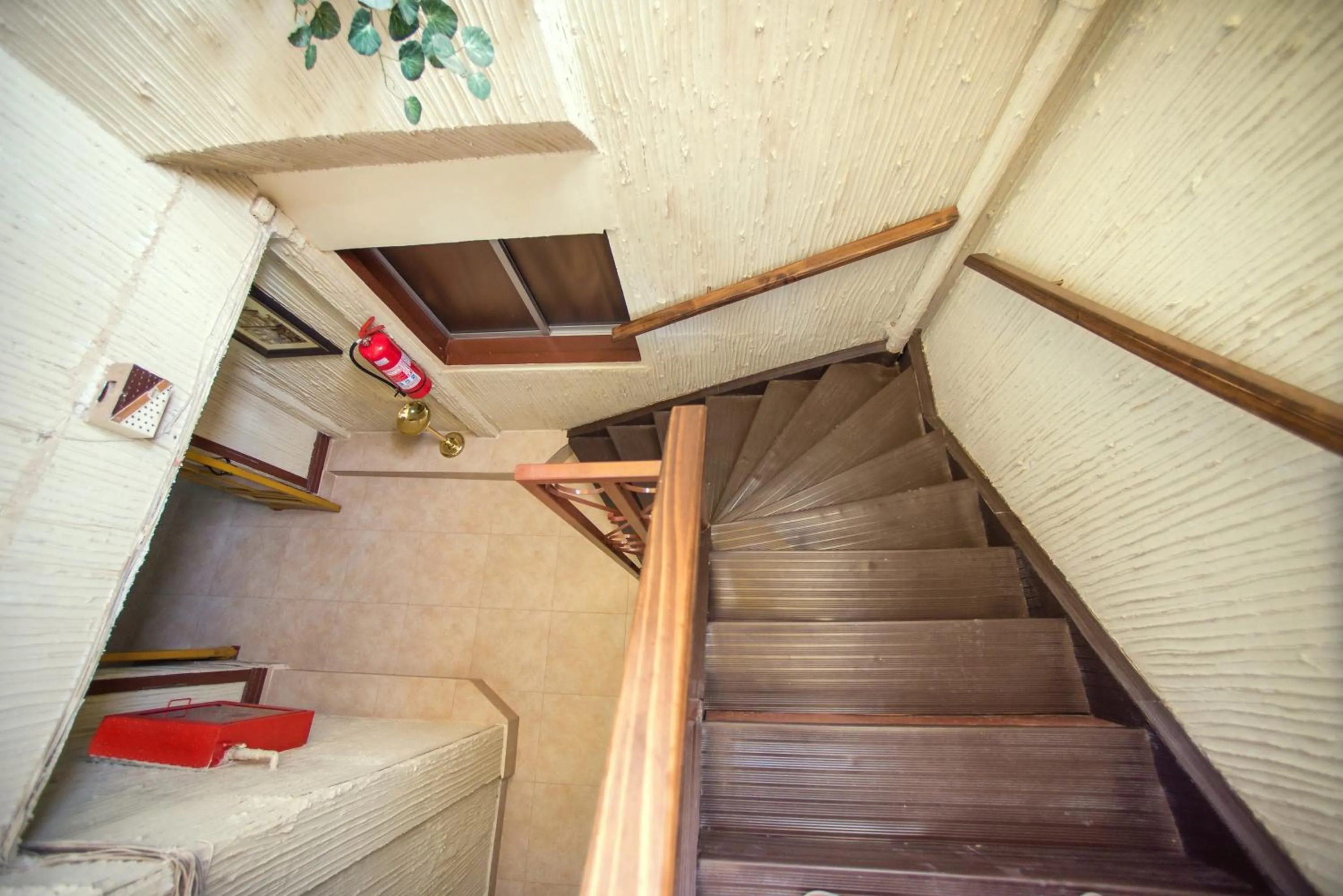 Area and facilities in Hotel Sahara Inn