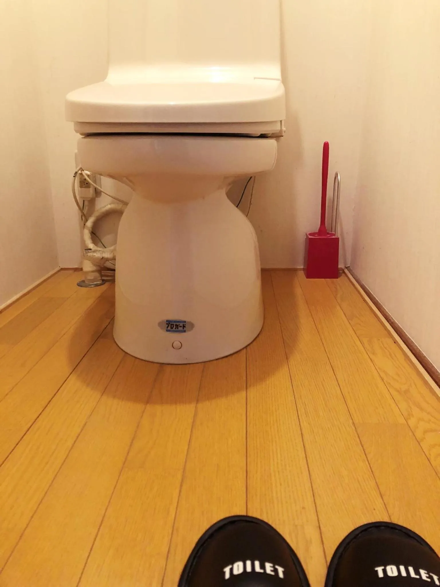 Toilet in Minshuku Kawarabi-so