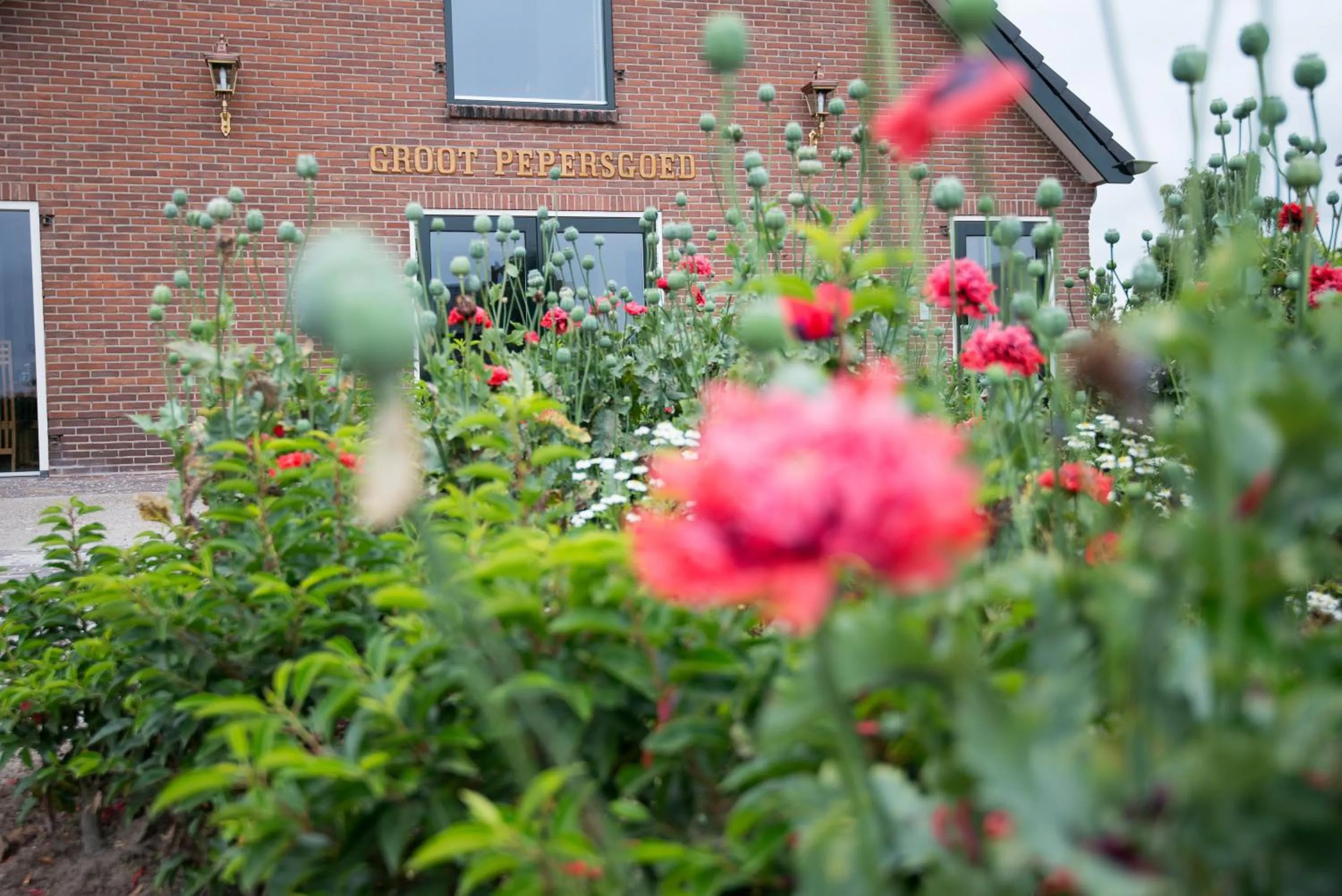 Facade/entrance in B&B Groot Pepersgoed