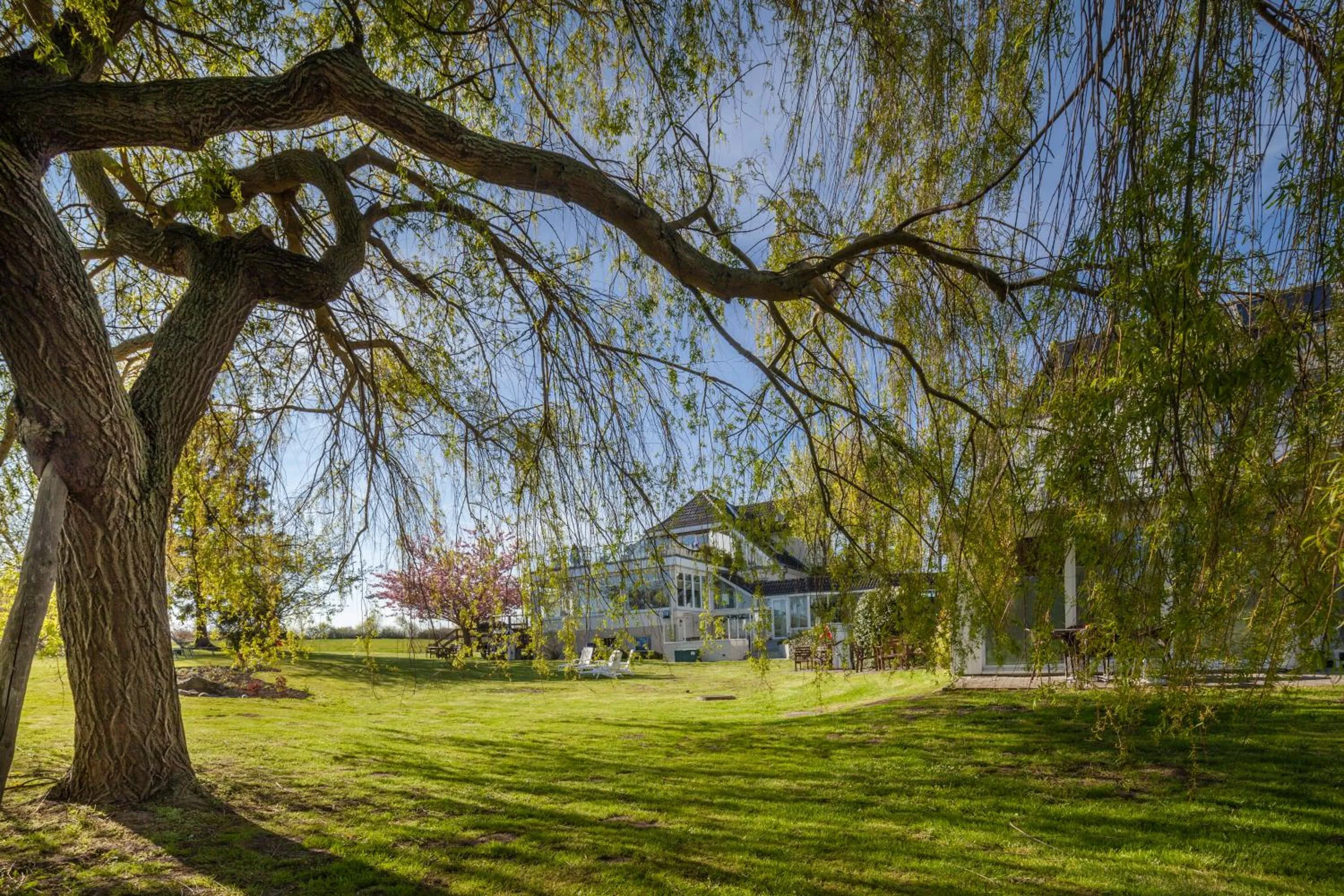 Garden in HofHotel Krähenberg