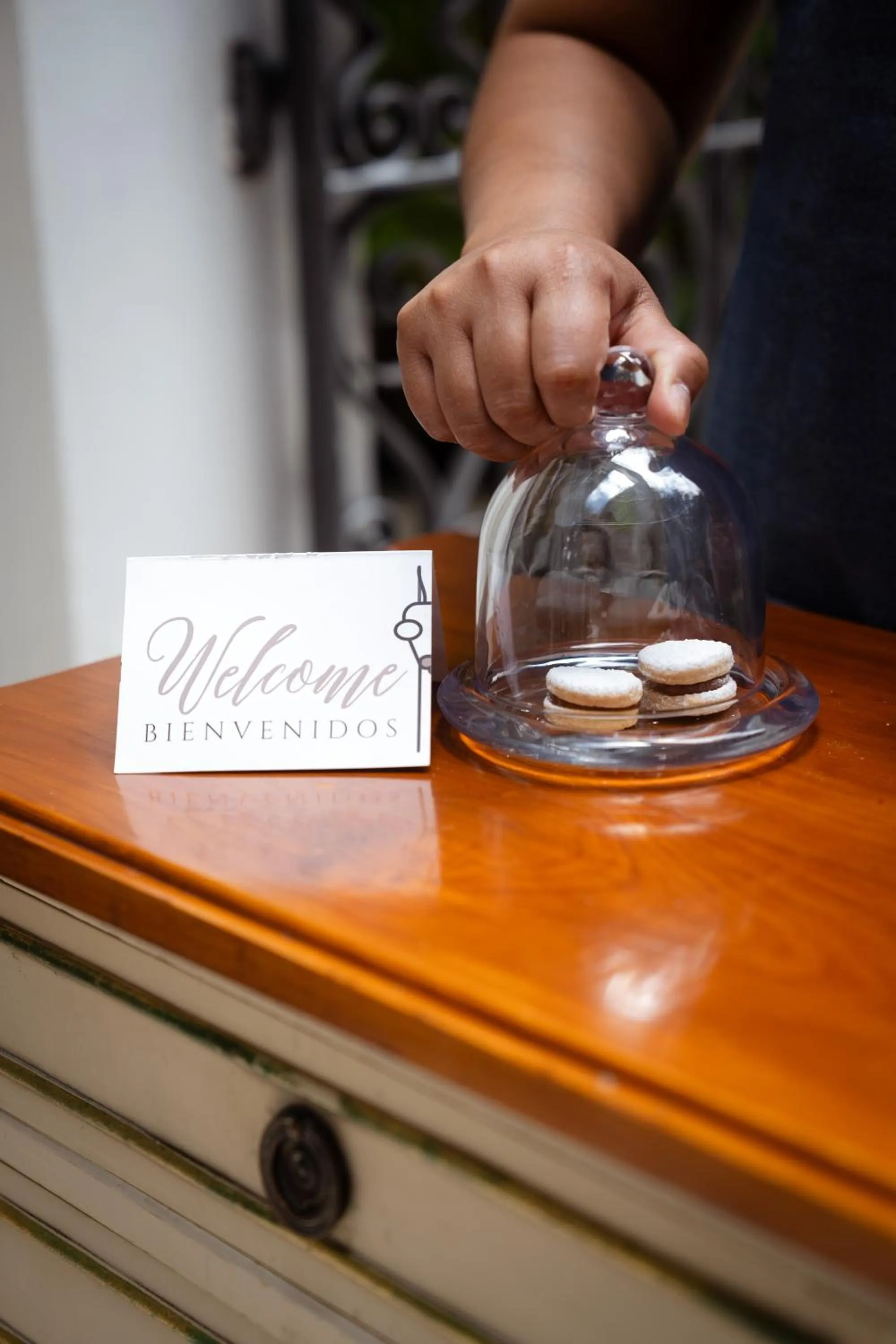 Decorative detail in Villa Vicuña Salta Hotel Boutique