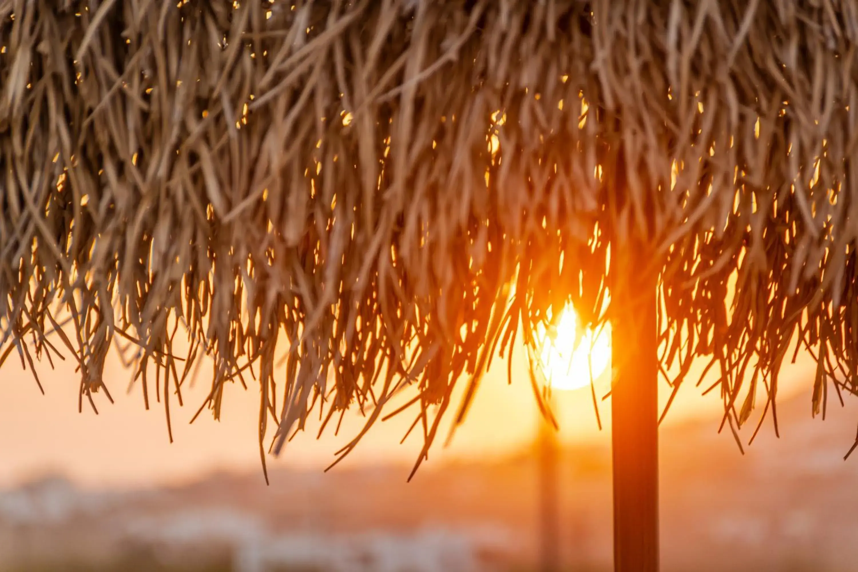 Patio in White Cocoon Exclusive villas Patio in White Cocoon Exclusive villas
