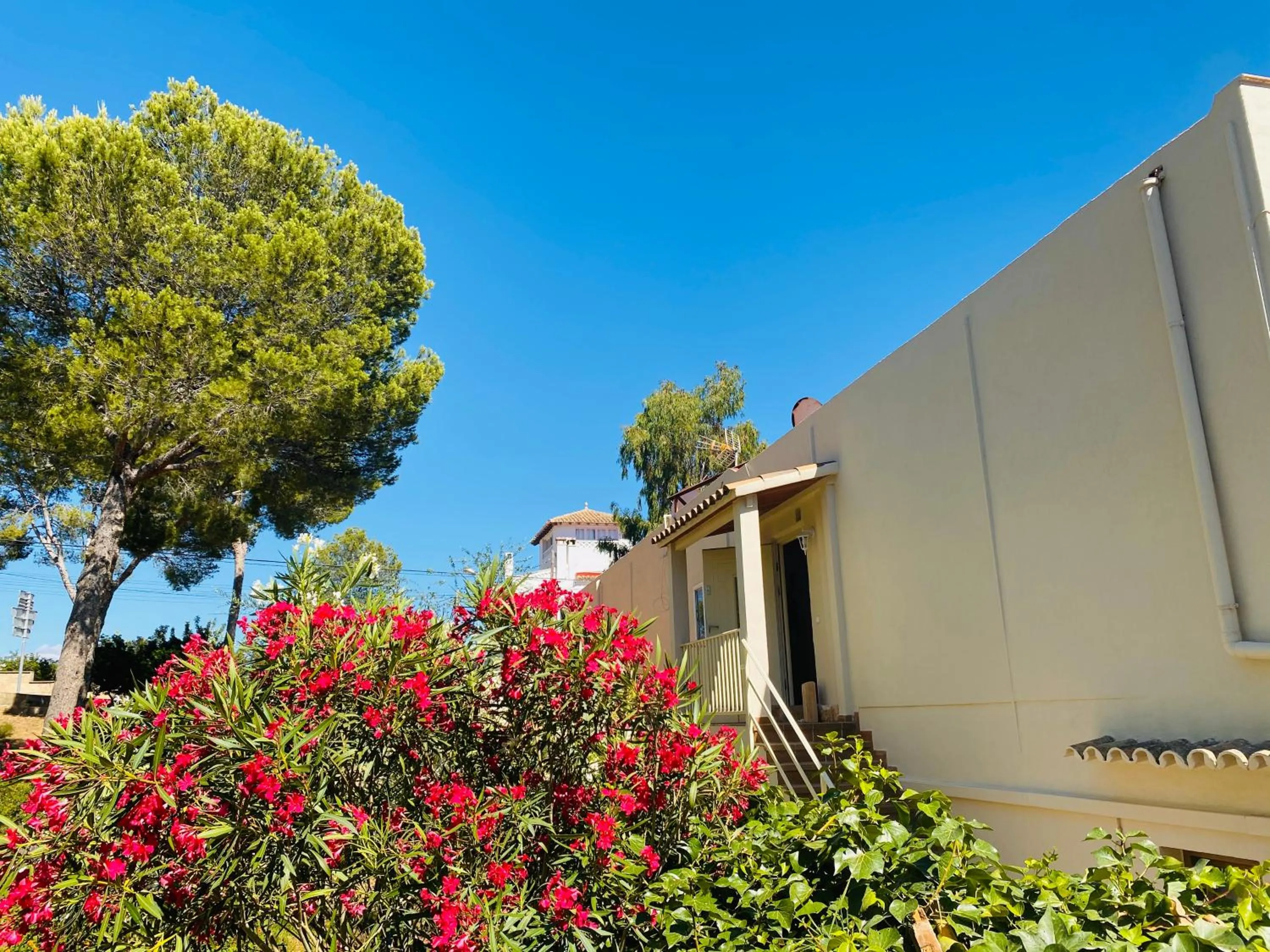 Hostal Villa Senese
