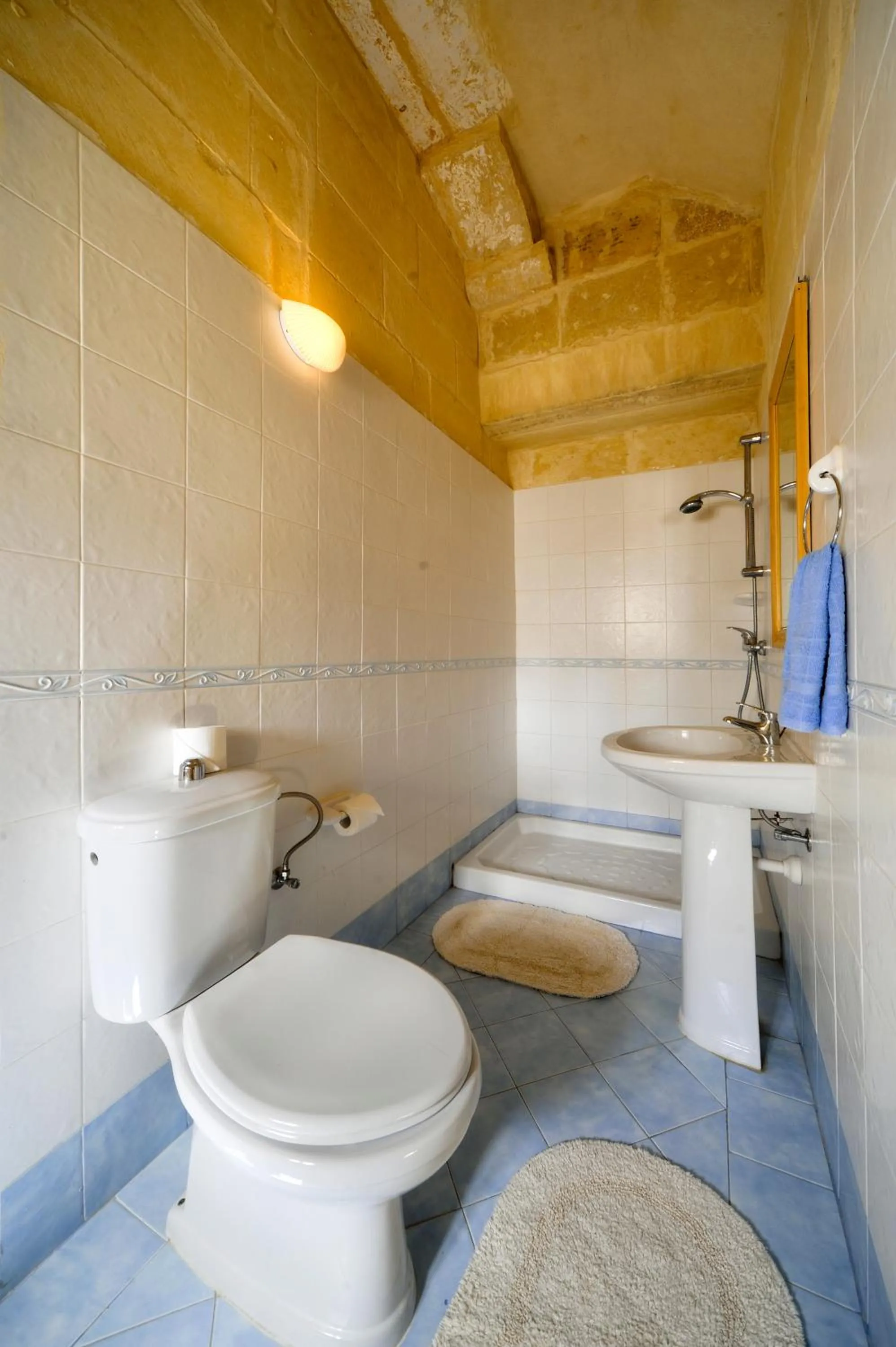 Shower in Tal-Barun Farmhouse