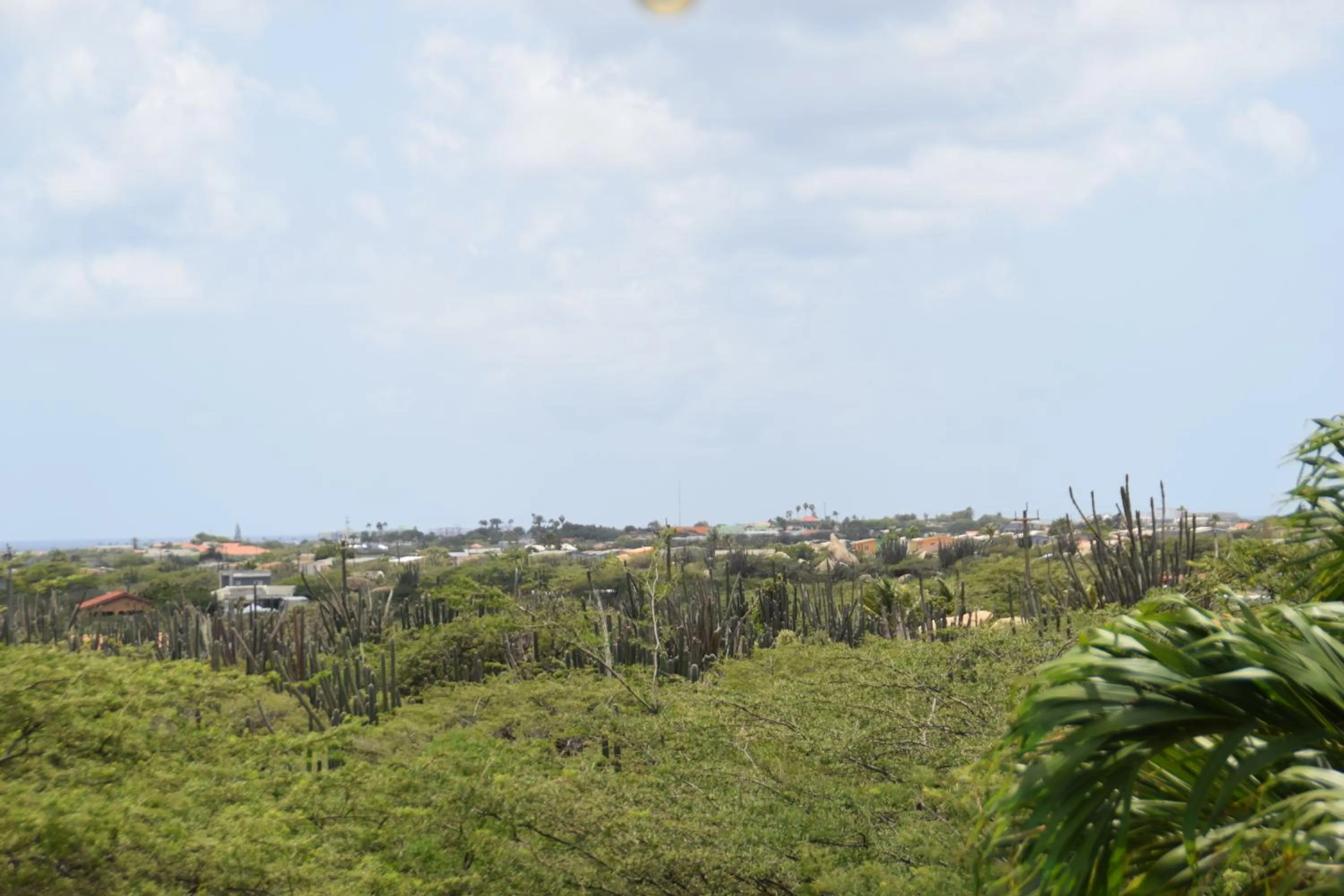 Natural landscape in La Felicidad Aruba