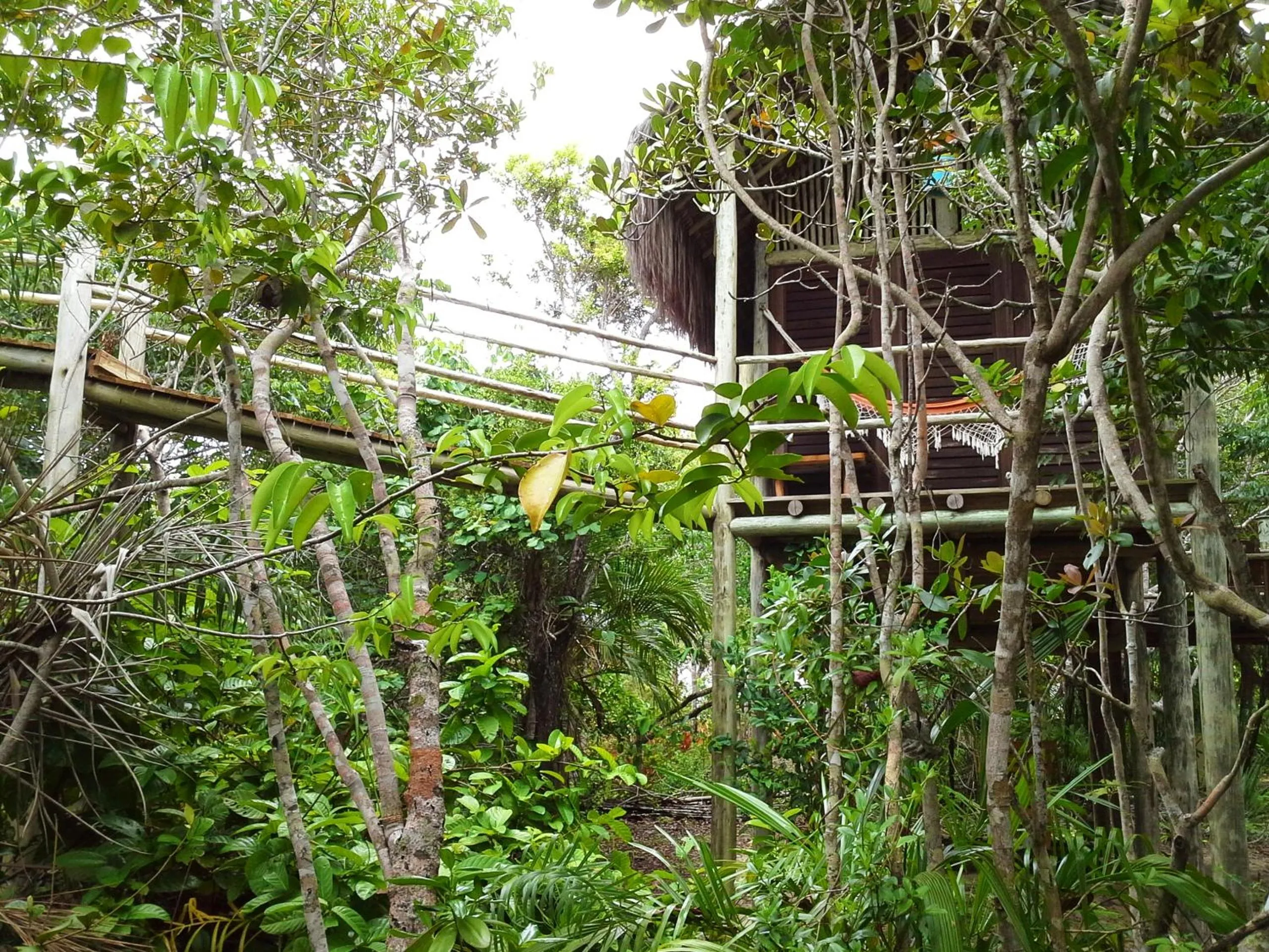 Bungalow with Sea View in Village Mata Encantada