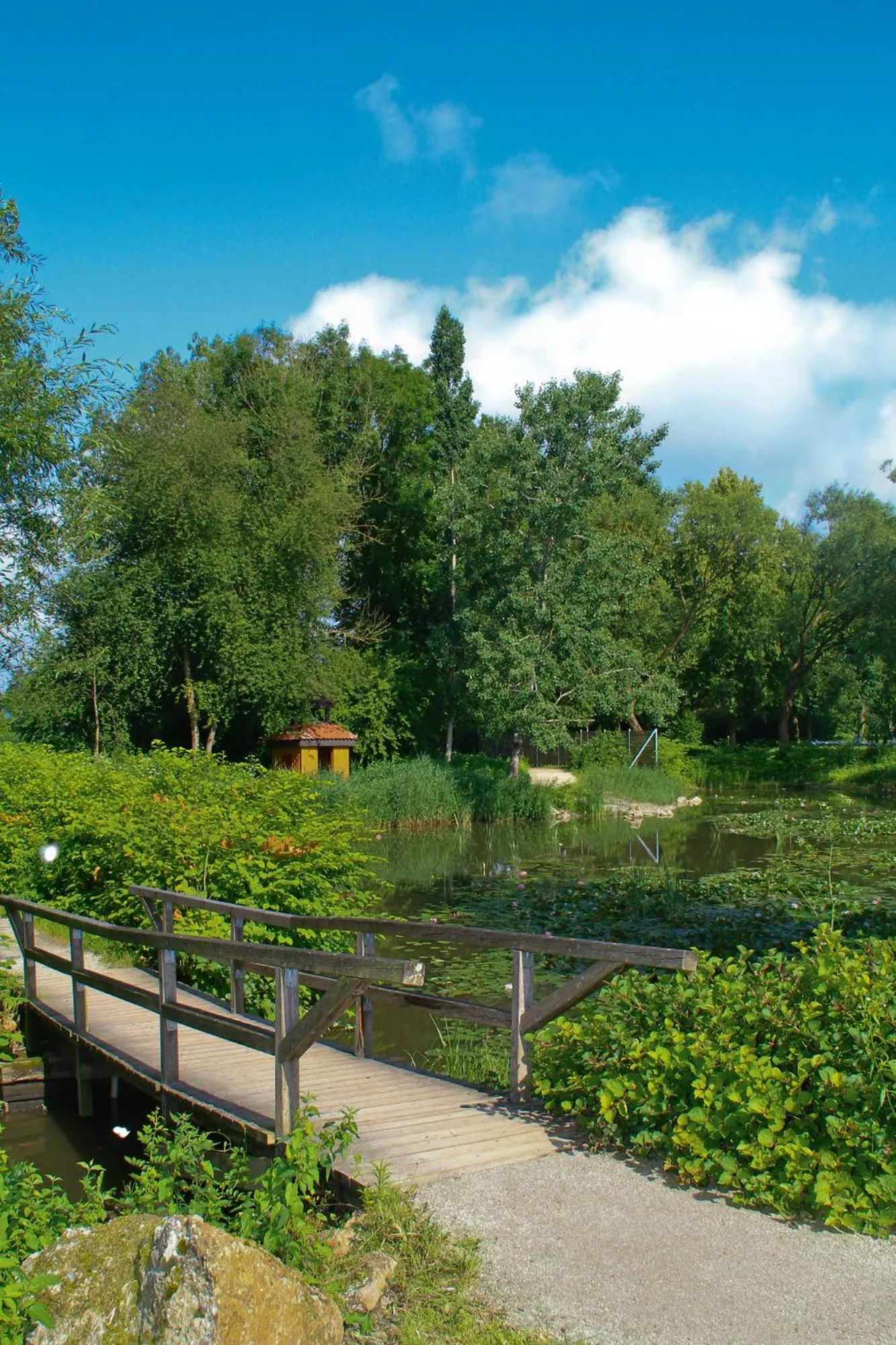 Natural landscape in Hotel Chrysantihof