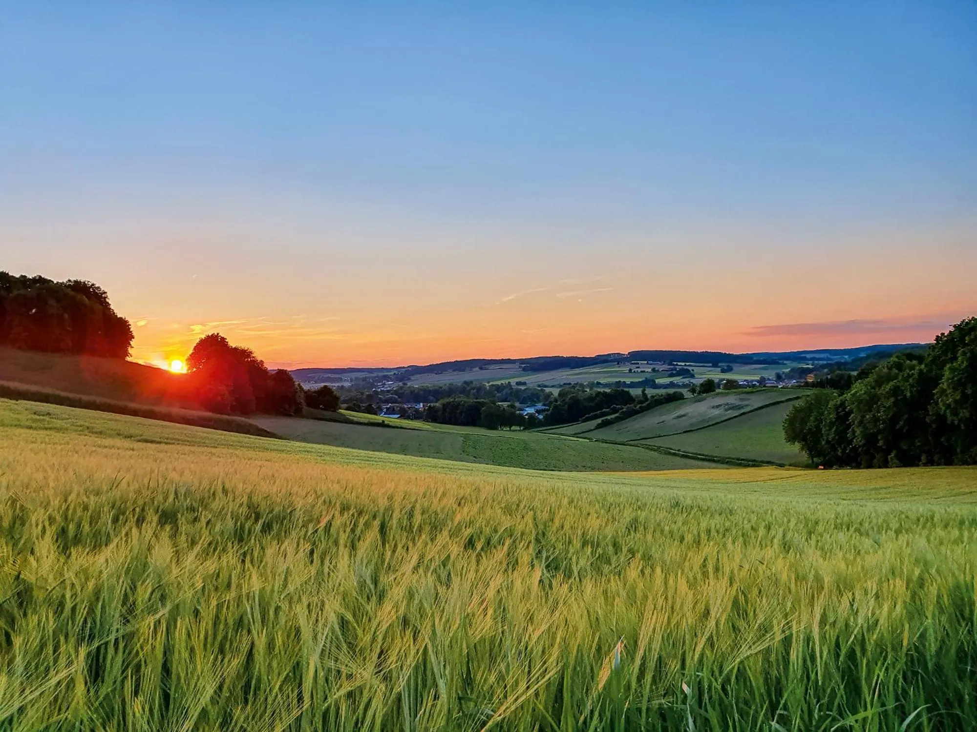 Natural landscape in Hotel Chrysantihof
