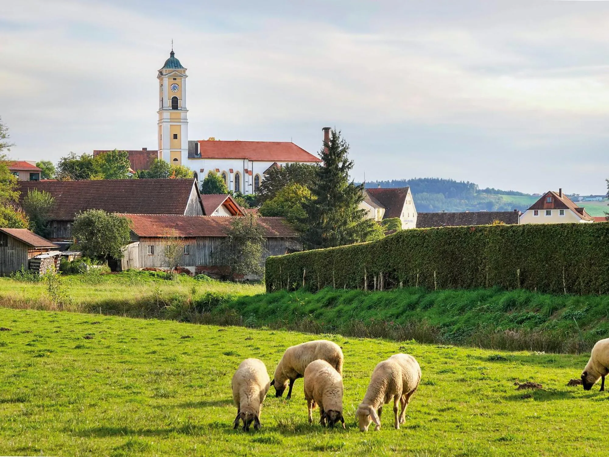 Natural landscape in Hotel Chrysantihof
