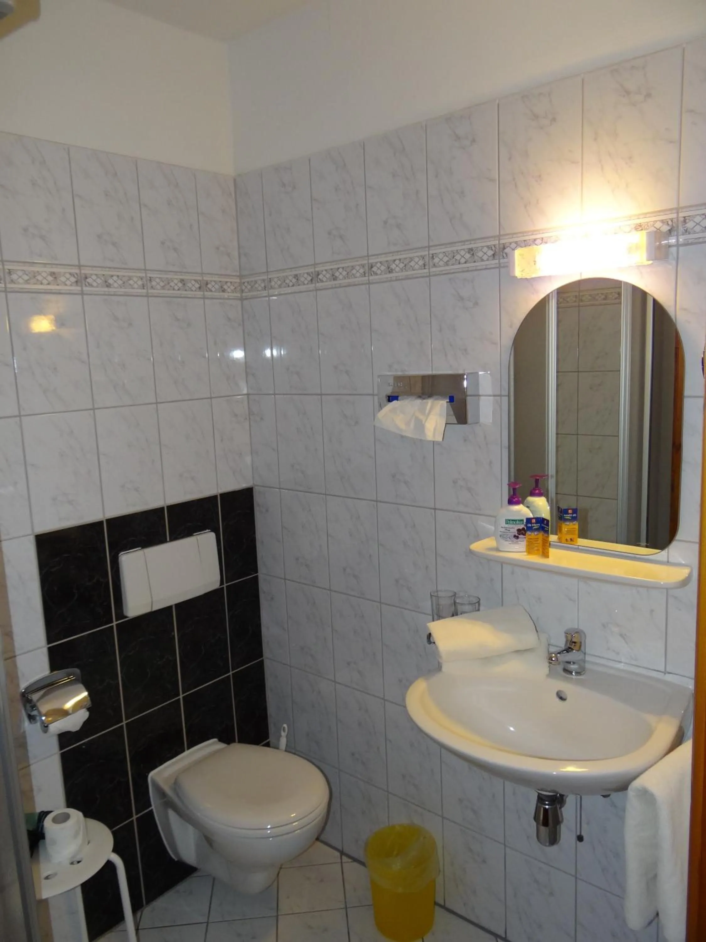 Toilet in Hotel Meridian