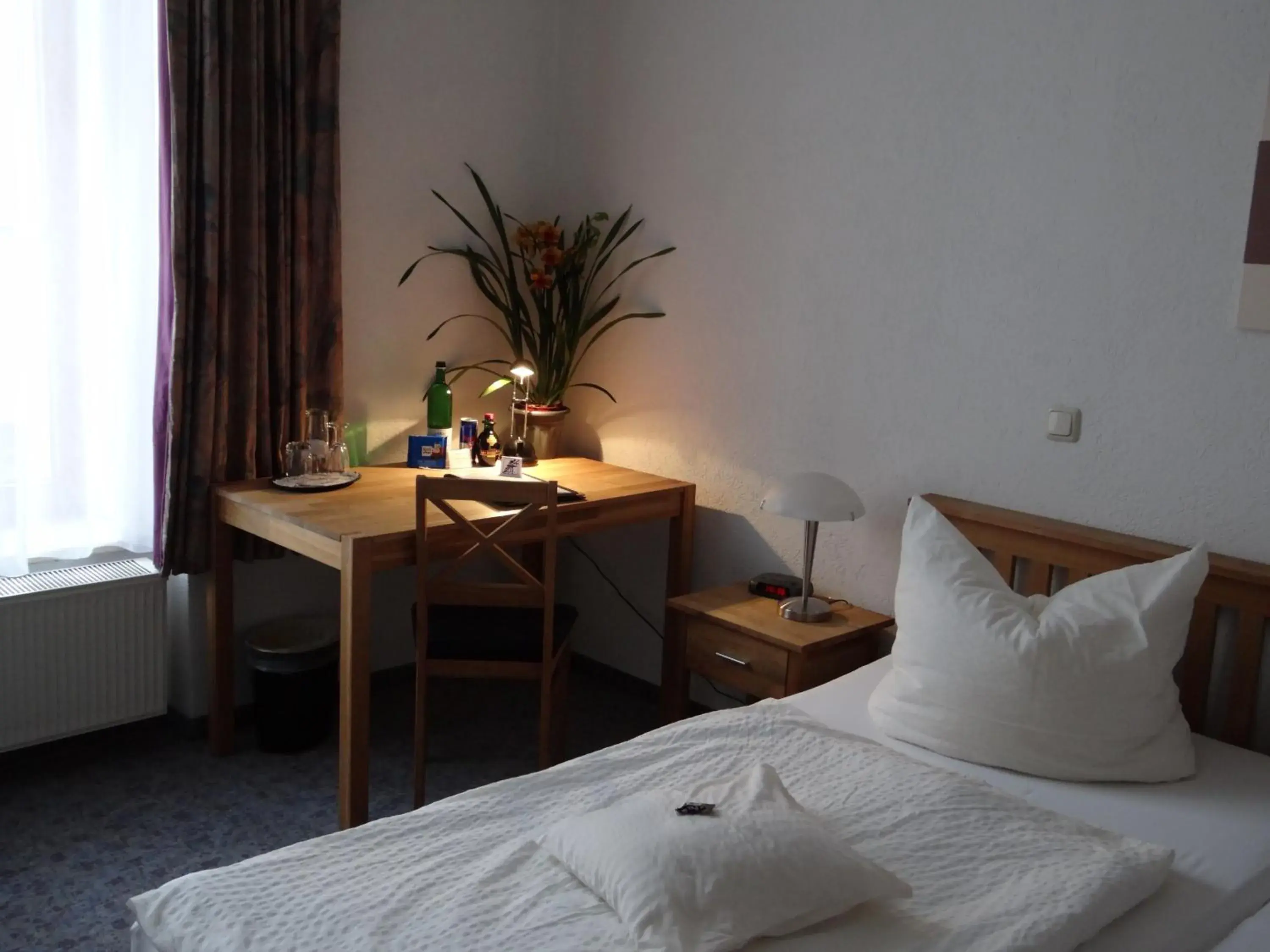 Double Room in Hotel Meridian Double Room in Hotel Meridian