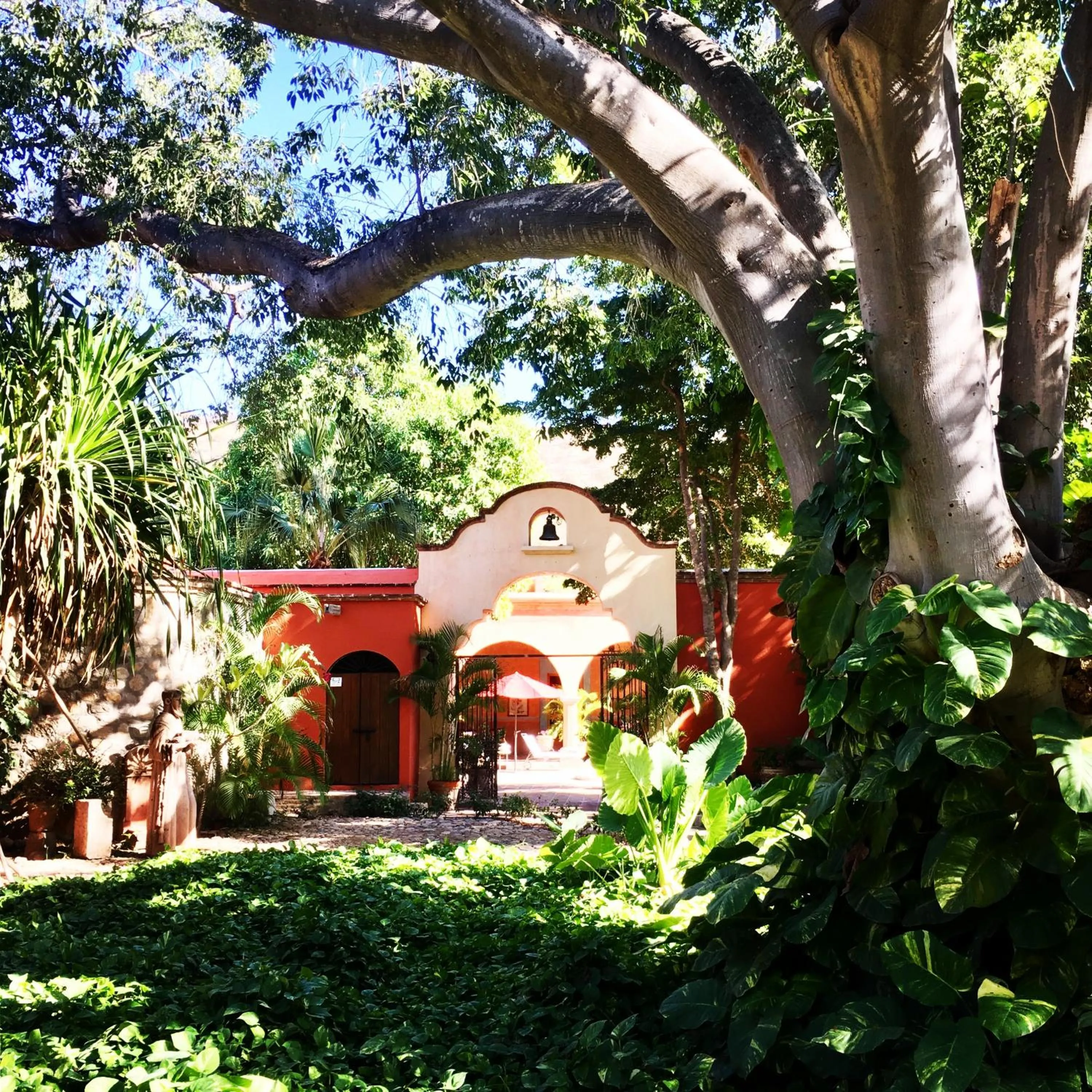 Garden in Hacienda de los Santos