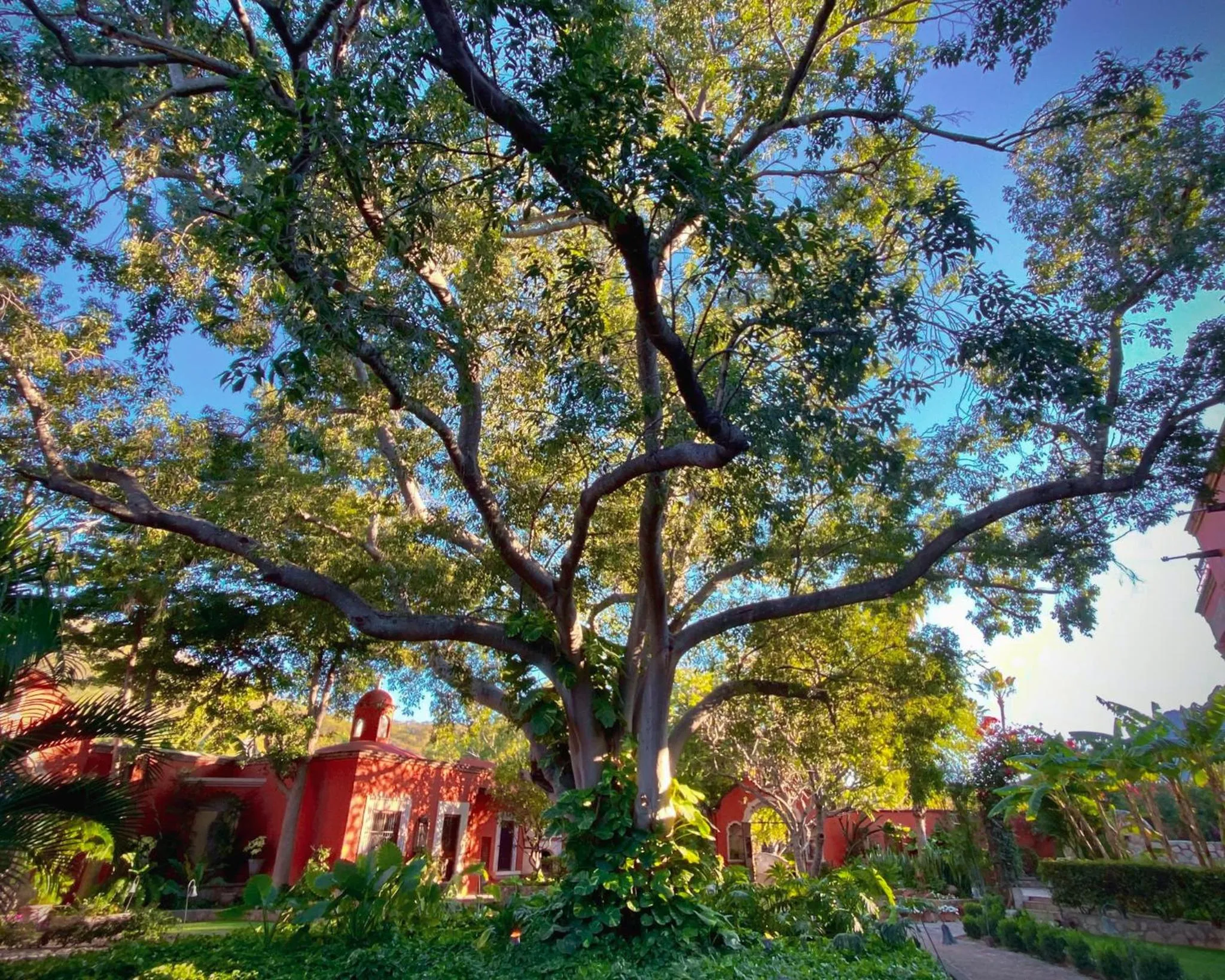 Hacienda de los Santos