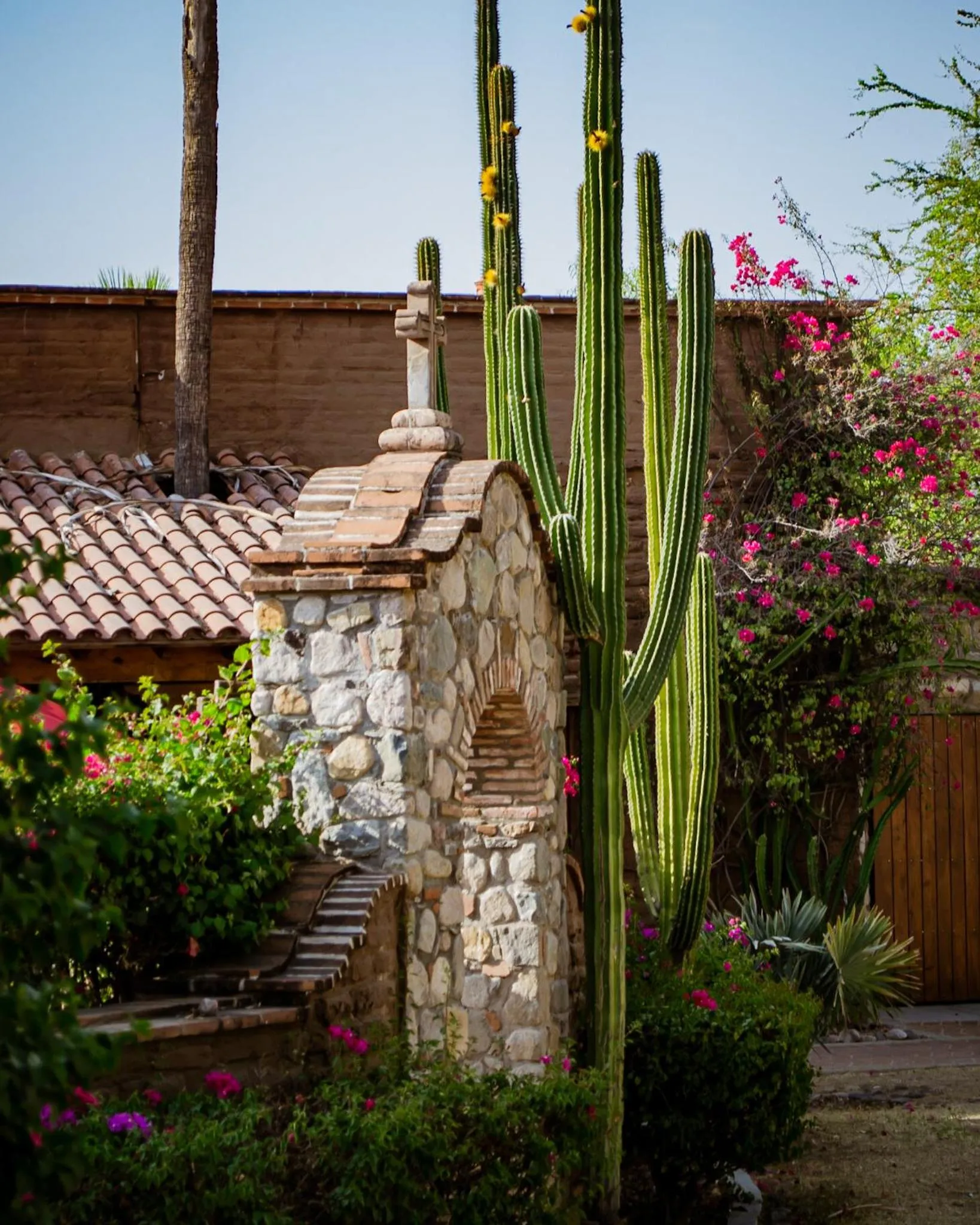 Spring in Hacienda de los Santos