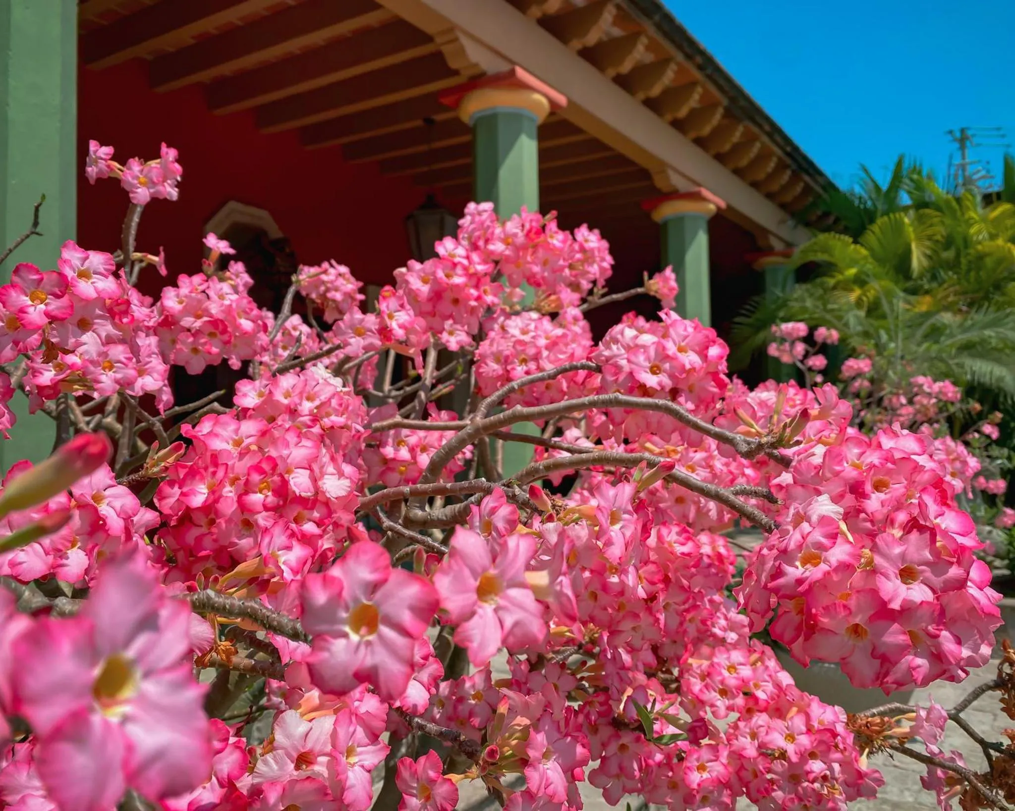 Hacienda de los Santos