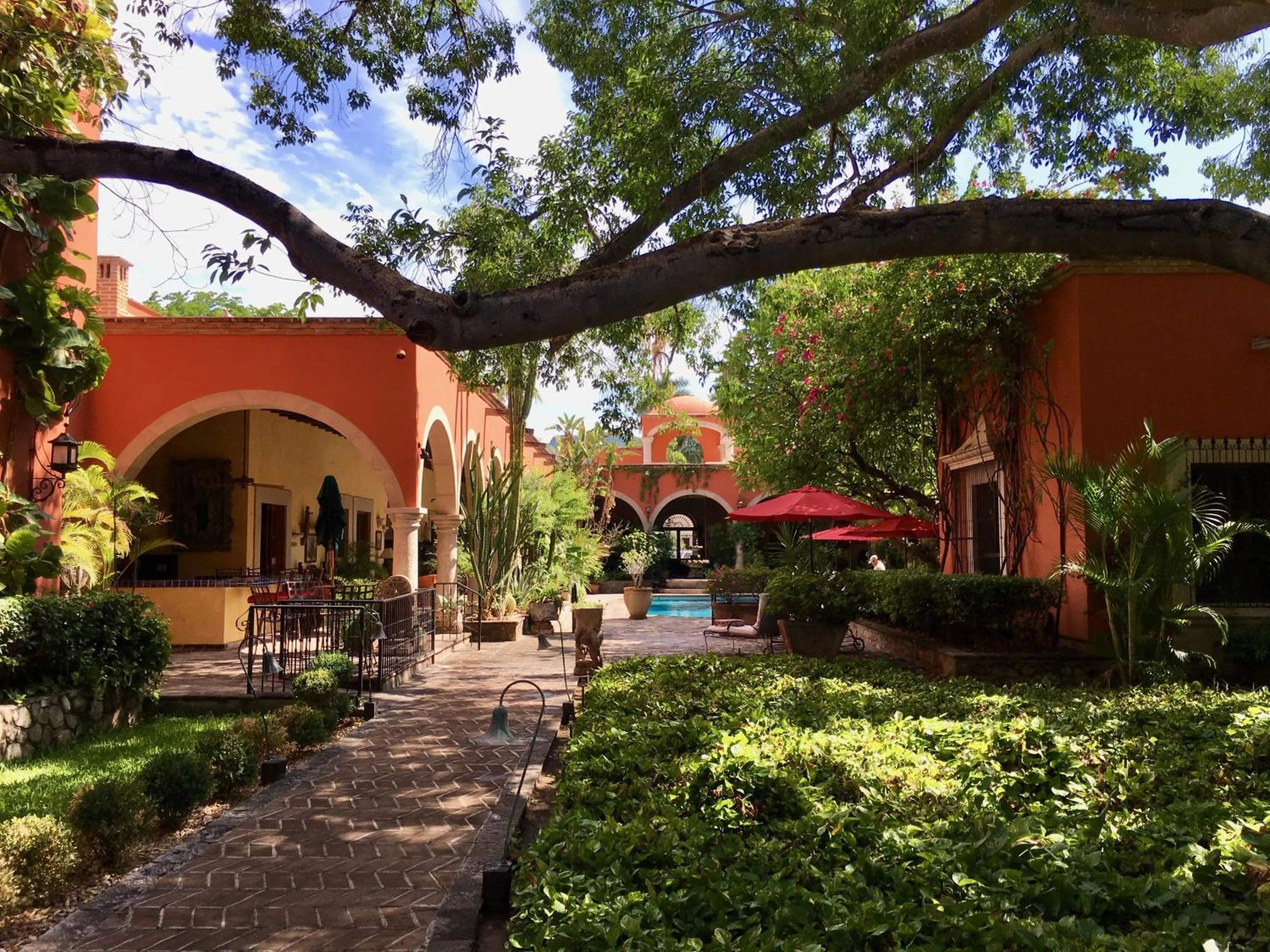 Garden in Hacienda de los Santos