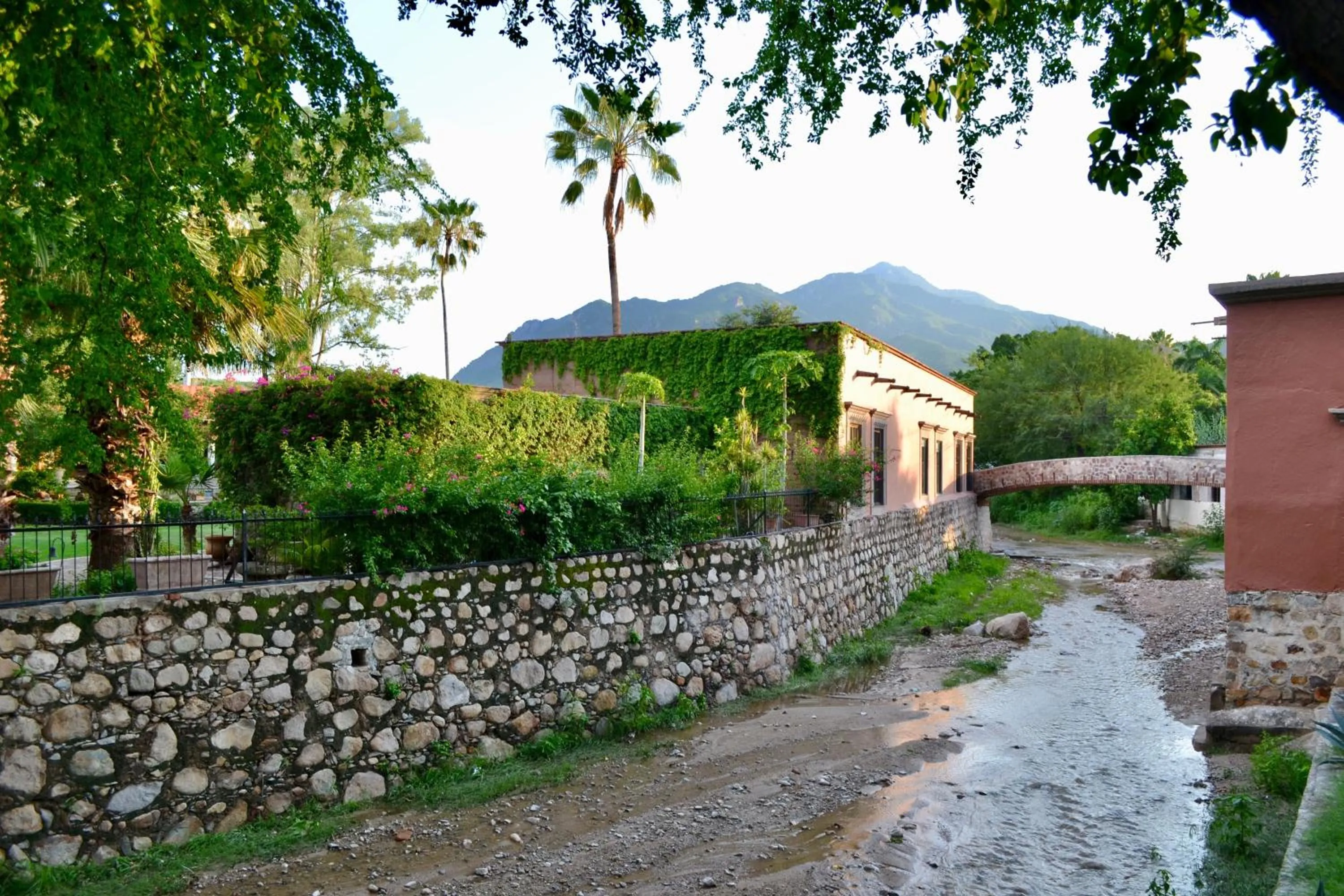 View (from property/room) in Hacienda de los Santos