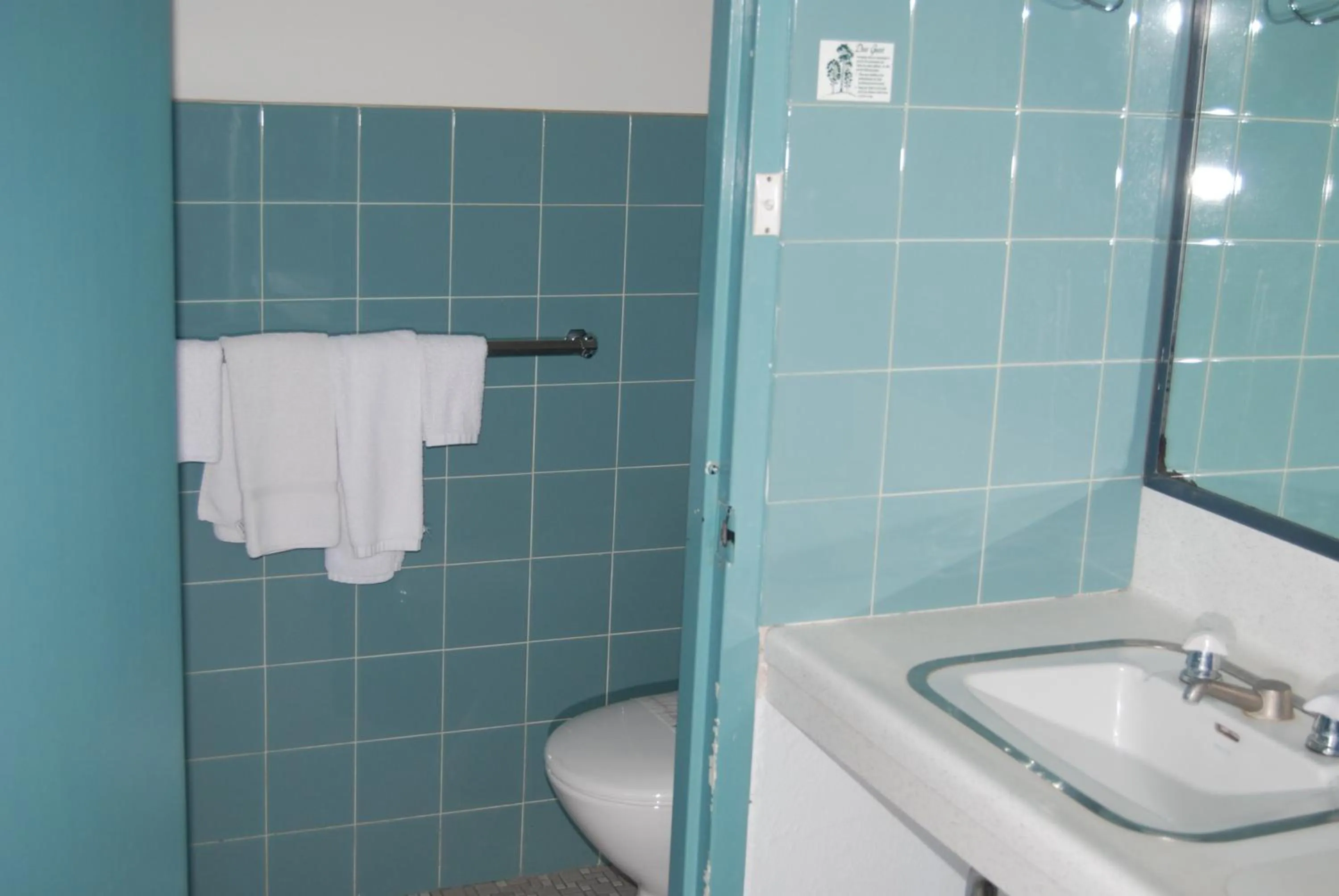 Bathroom in Red Carpet Motel