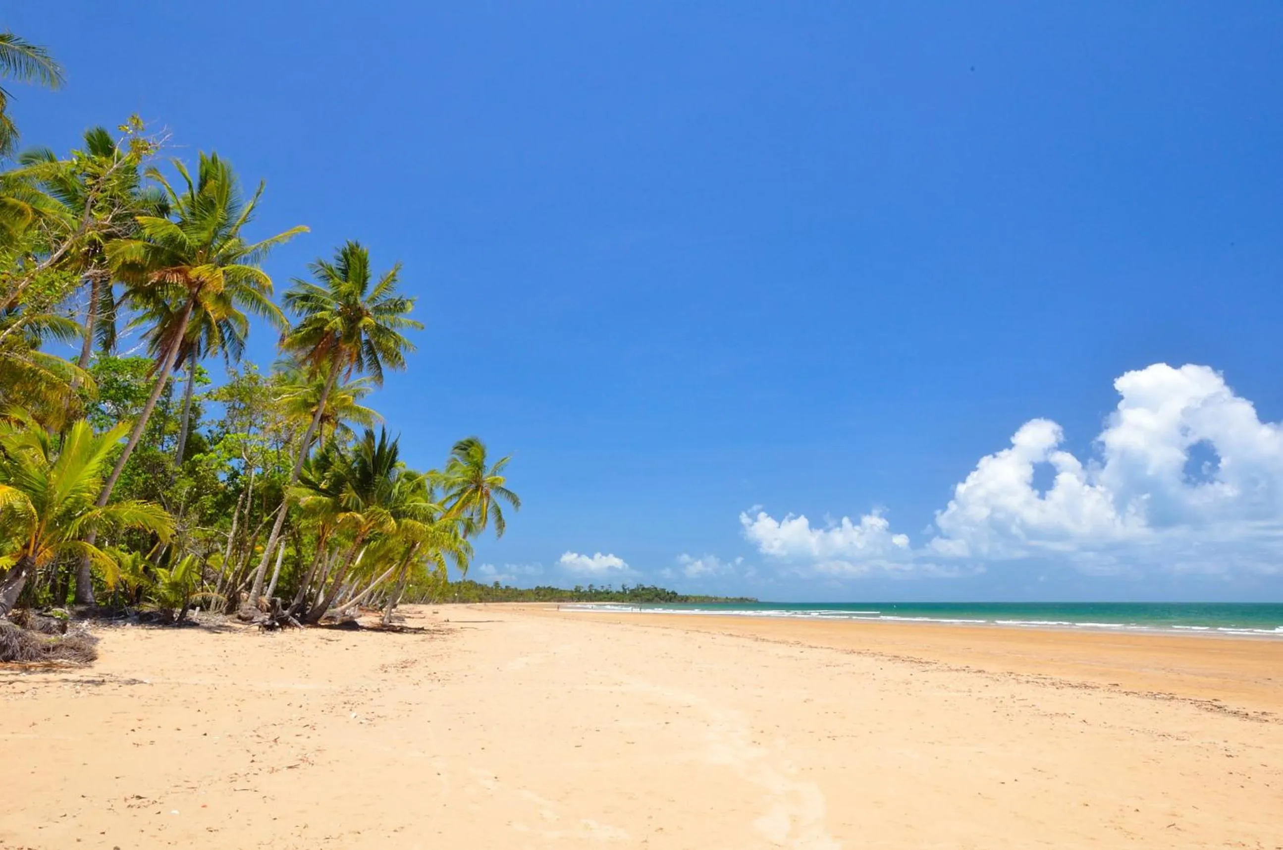 Beach in Sejala Beach Huts