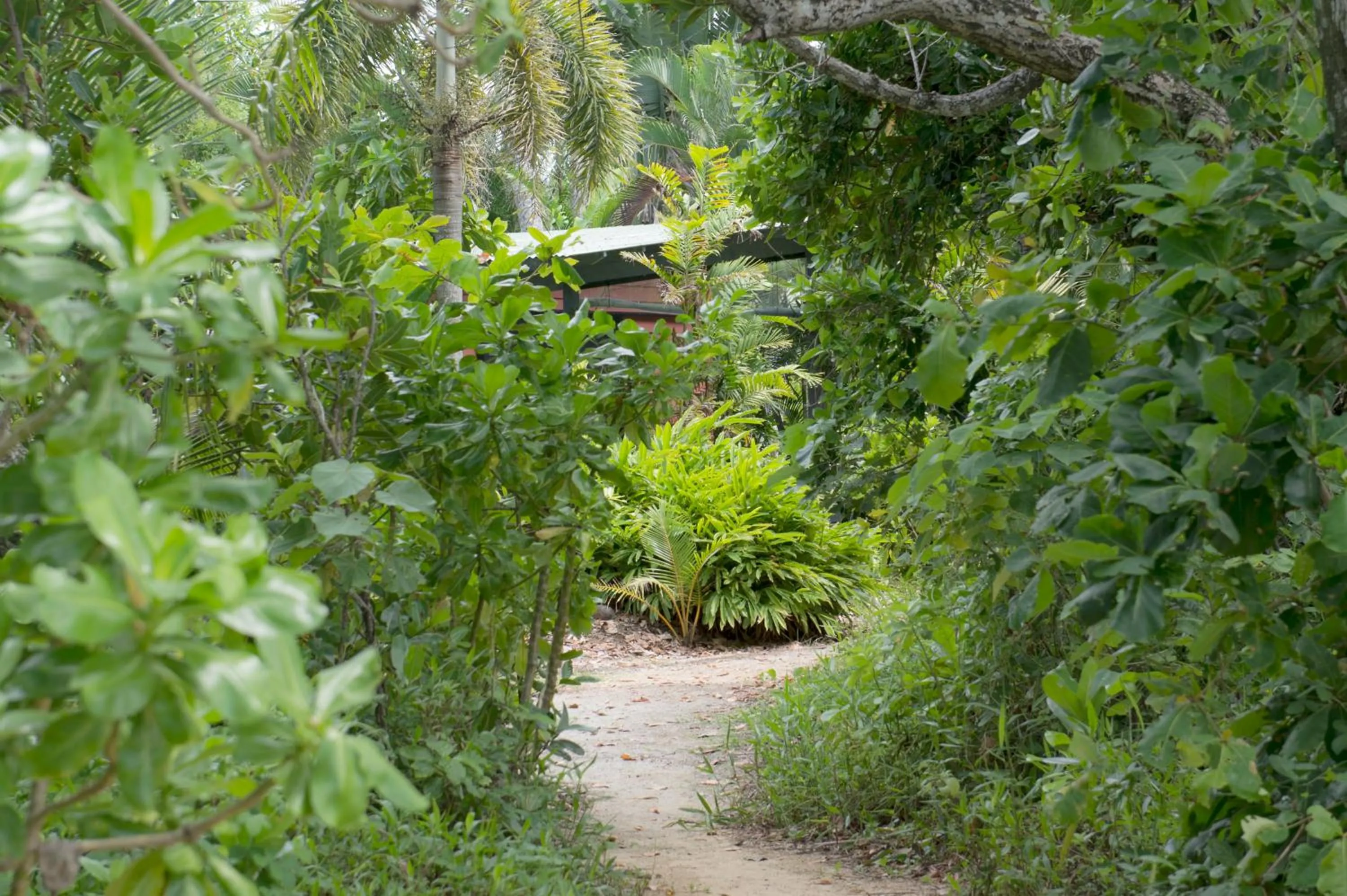 Garden in Sejala Beach Huts
